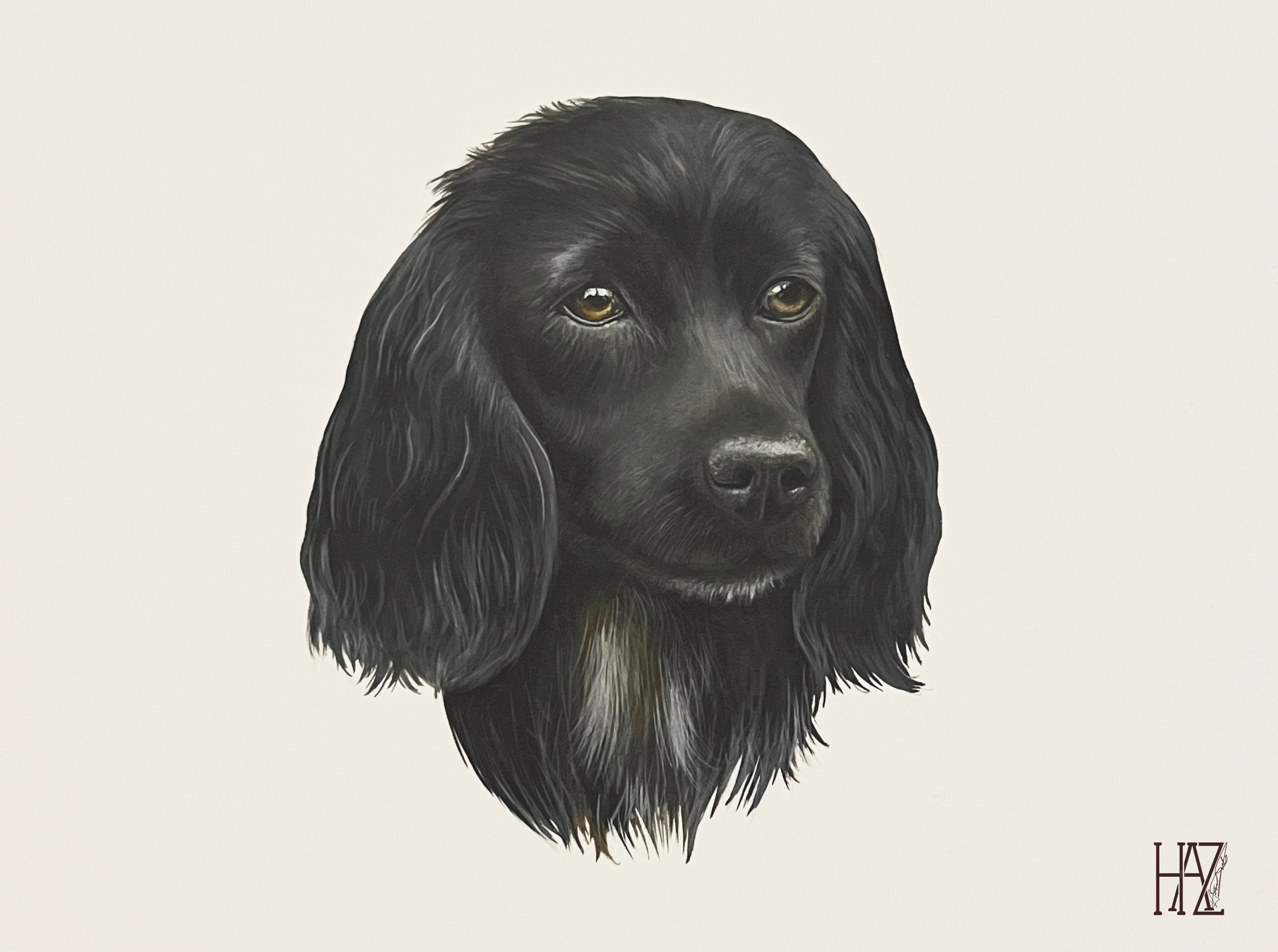 Portrait of a black long-haired dog, with brown eyes, against a plain light background, with a signature in the bottom right corner.