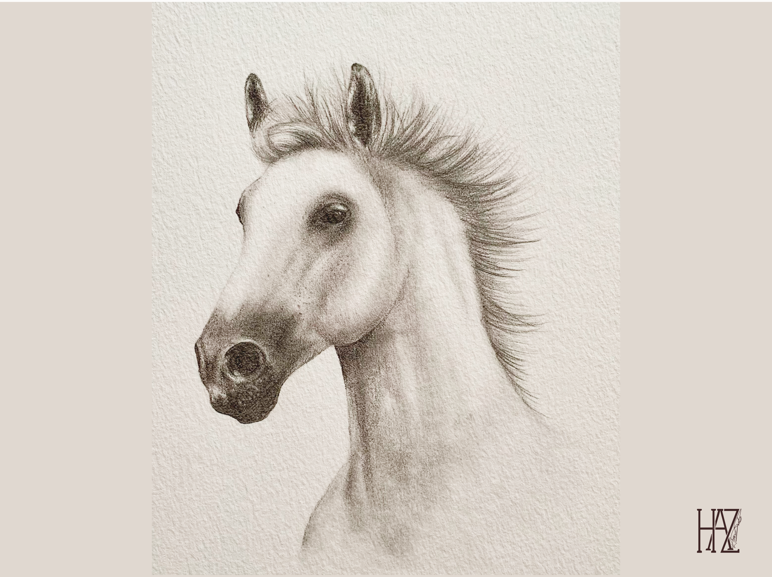 A realistic pencil sketch of a horse's head with a textured background, artist's initials 'HZ' in the bottom right corner.