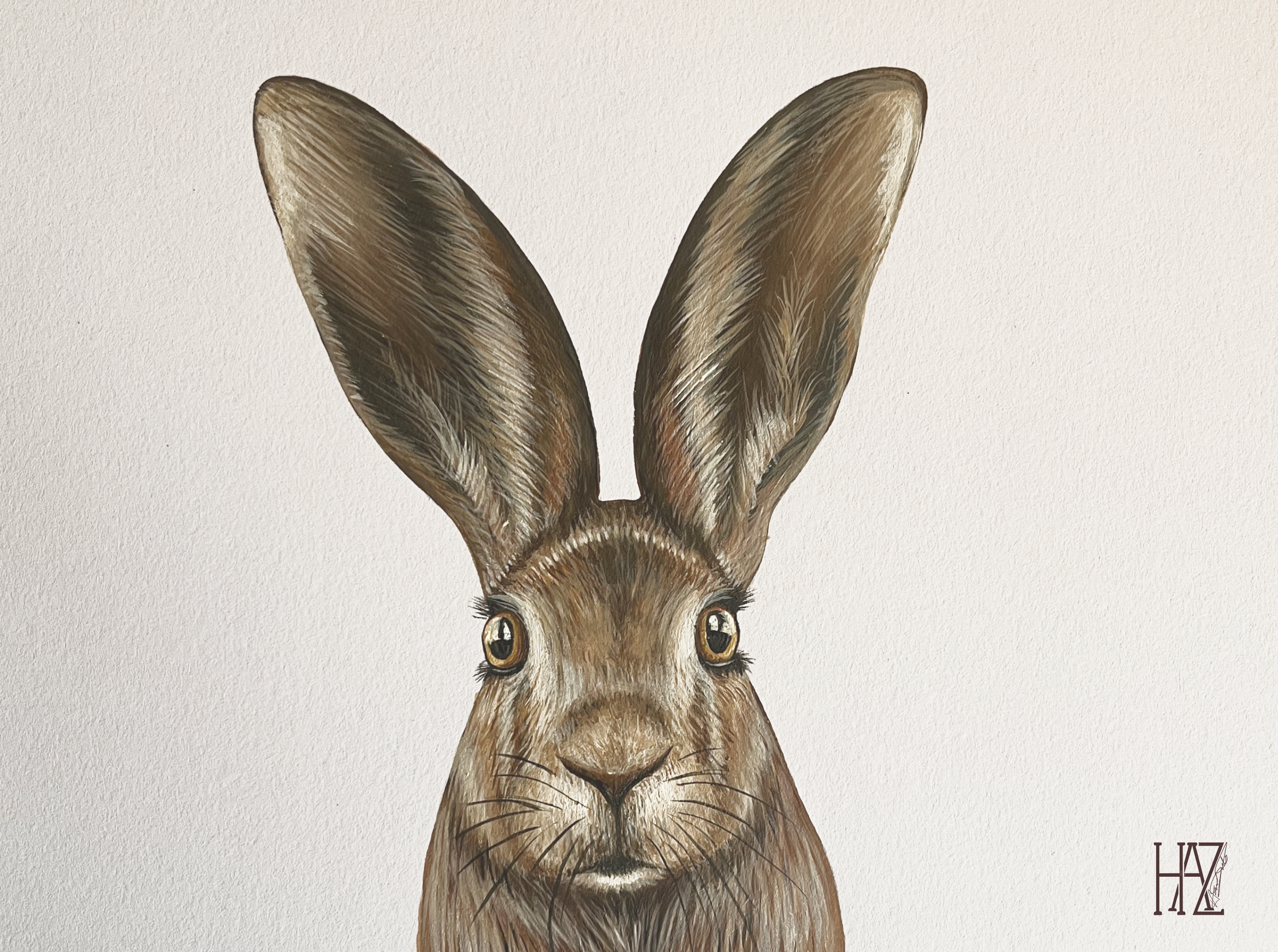 Illustration of a brown rabbit with large ears and expressive eyes on a white background.