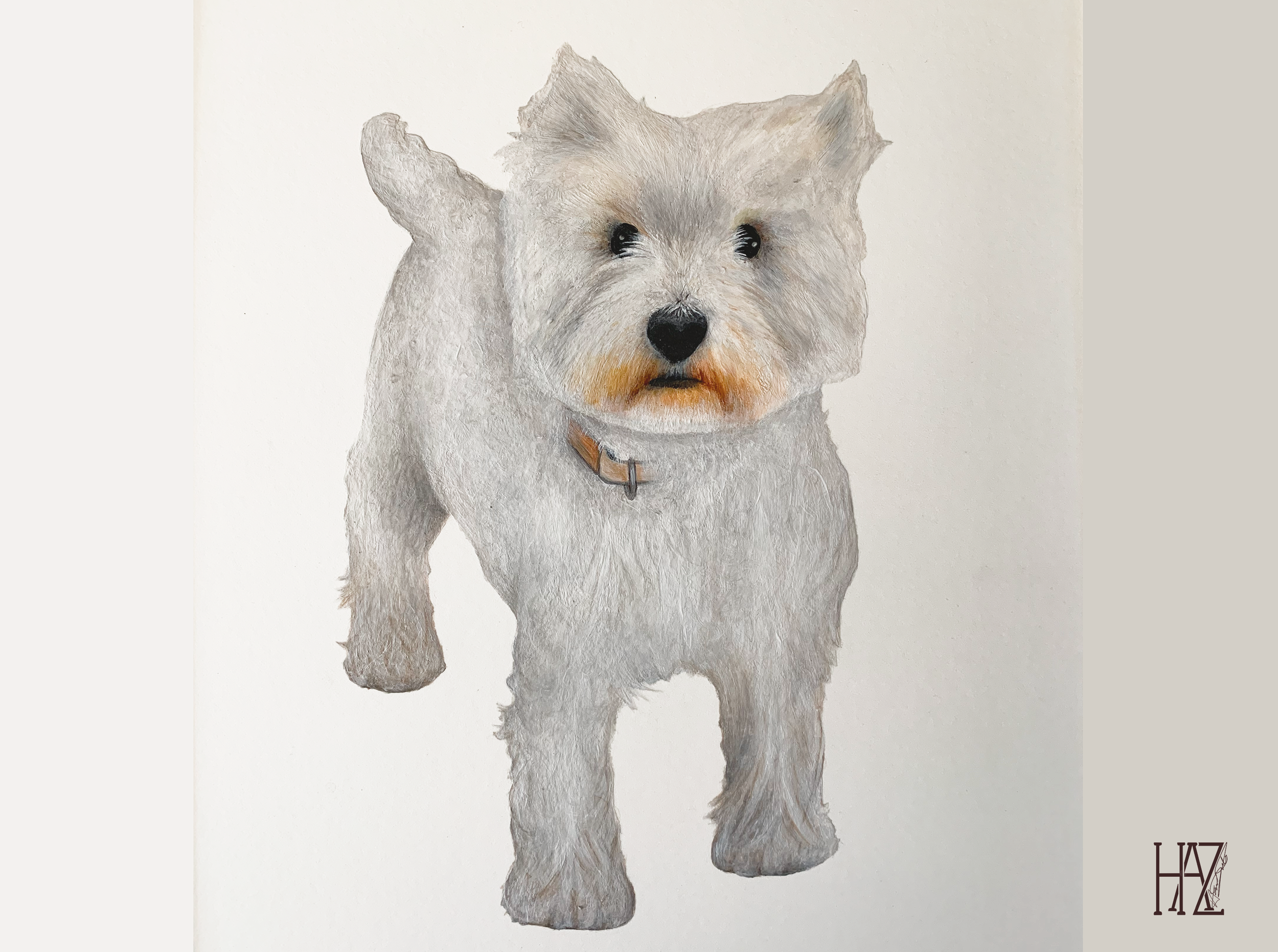 A drawing of a small dog with a fluffy white coat and black eyes, wearing a collar, with a neutral background.