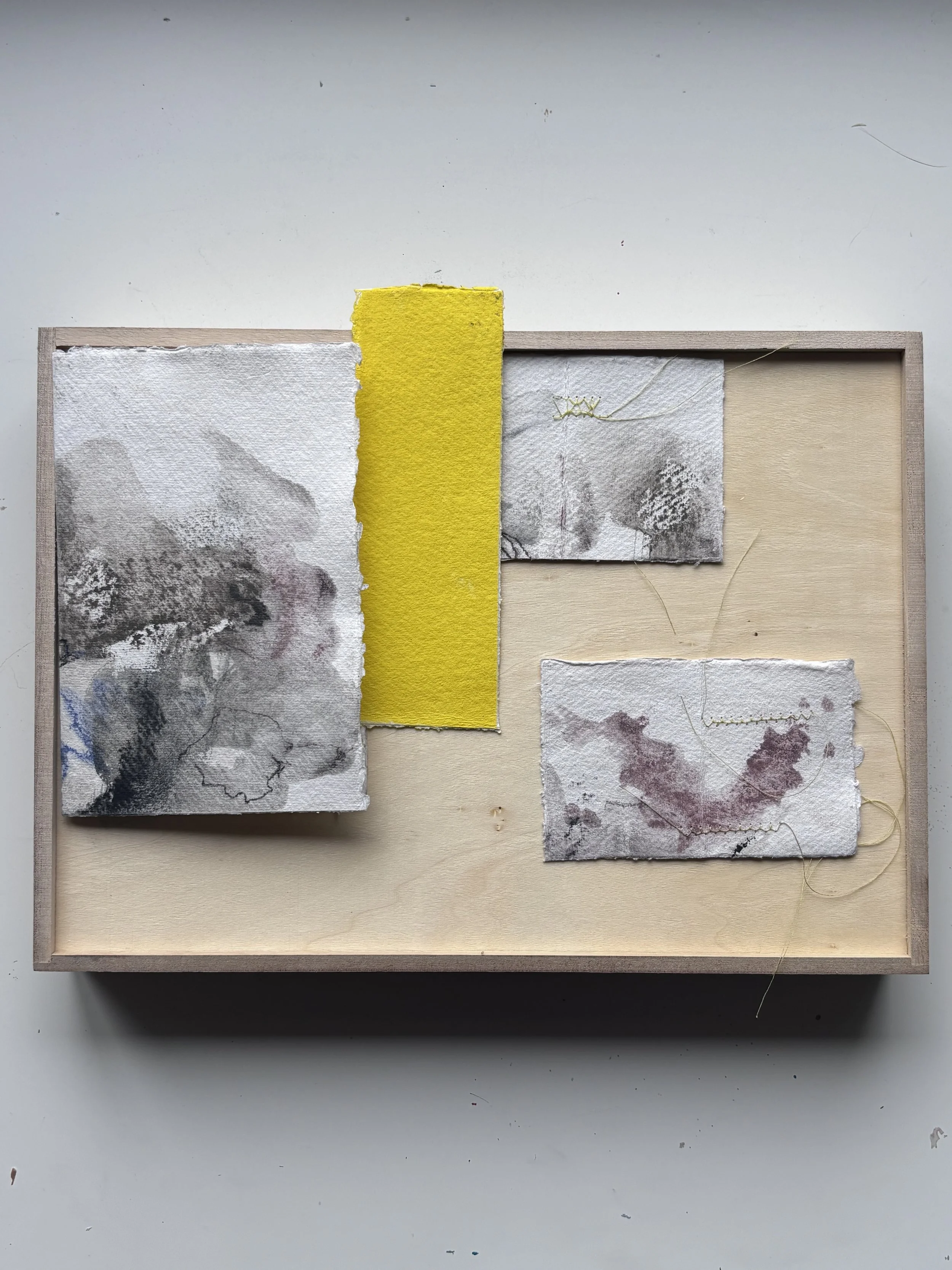 Artist's books