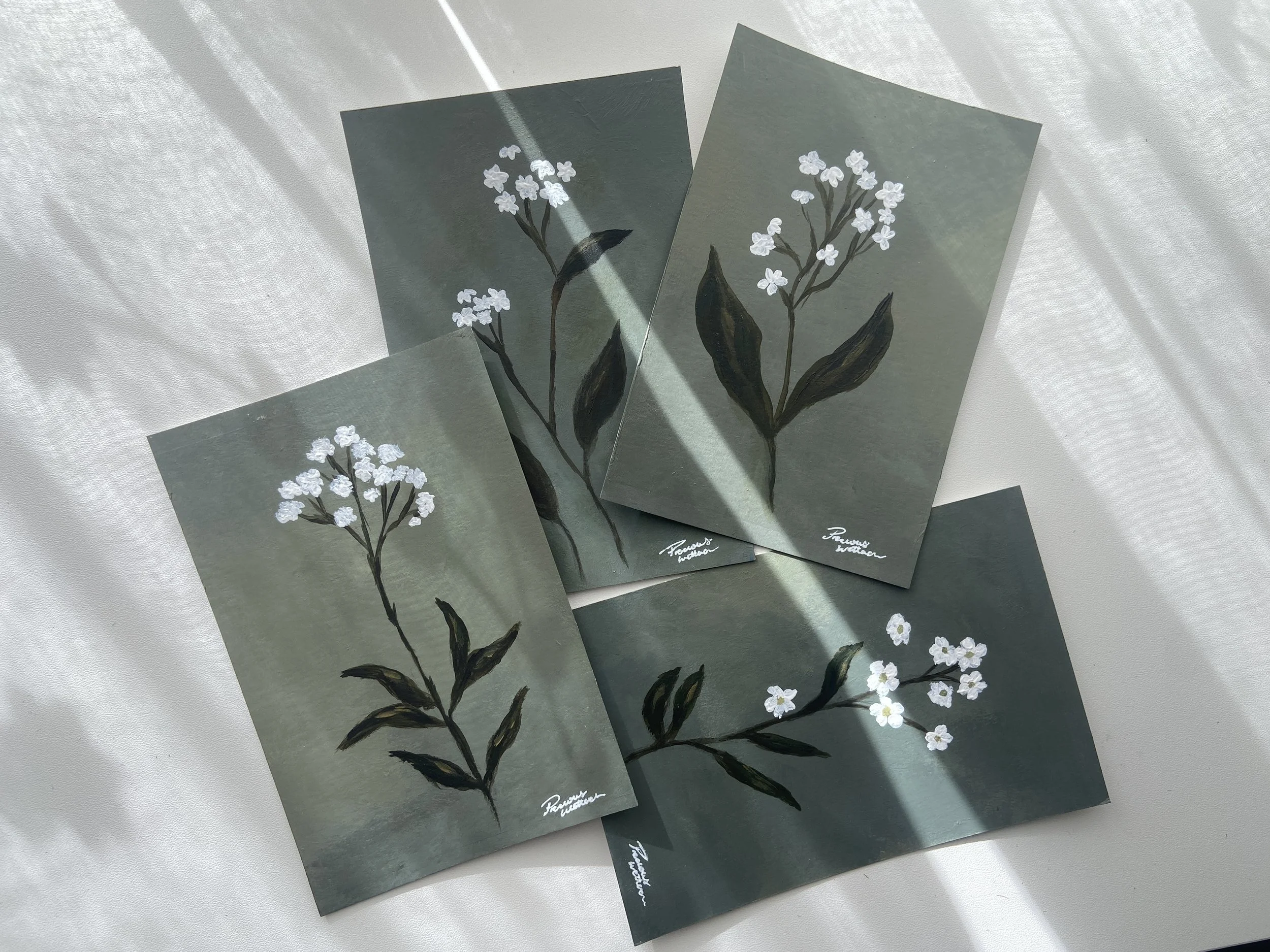 Four cards with botanical illustrations of white flowers and dark green leaves on gray-green backgrounds, with shadows cast on a white surface.