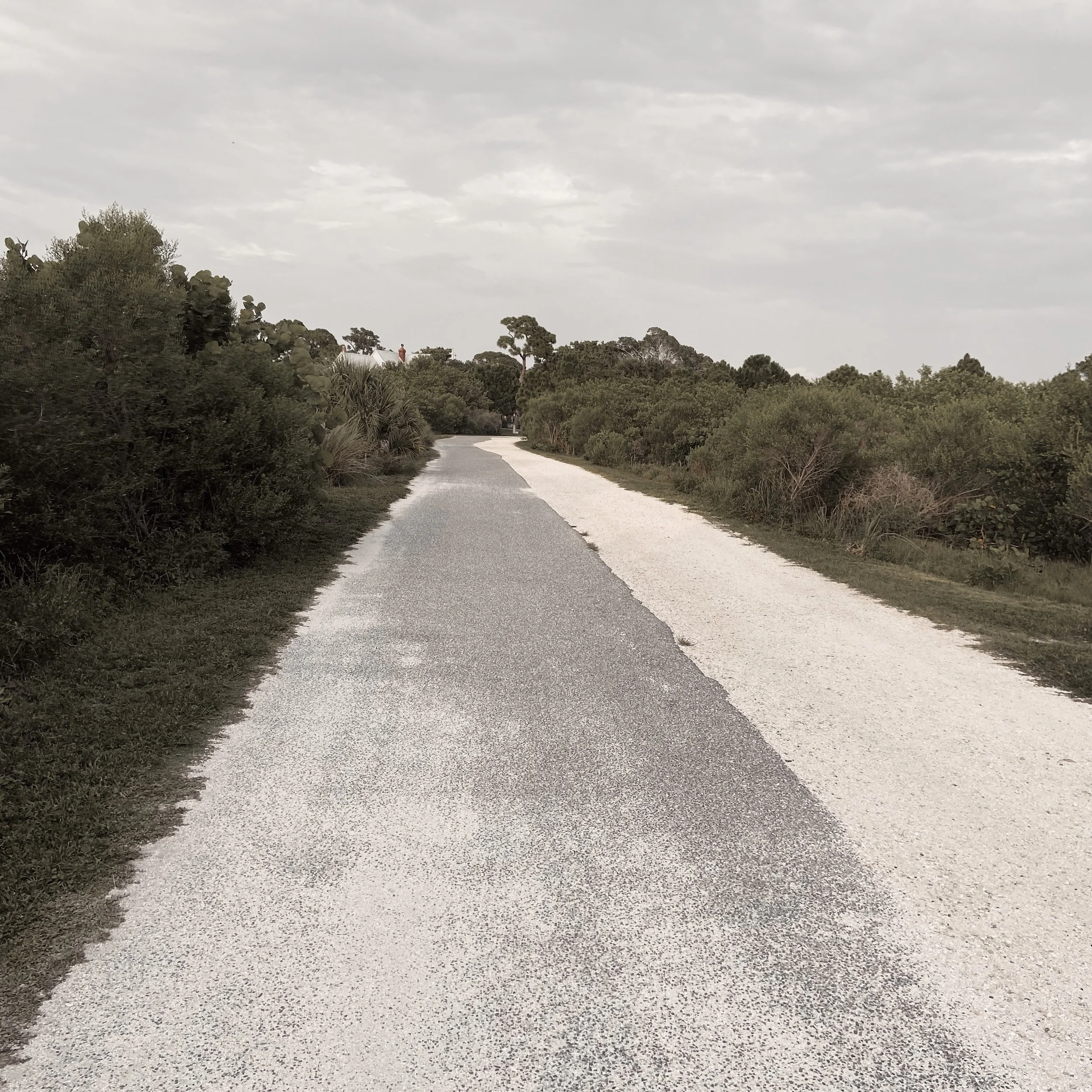 A dirt and gravel road running through a green, bushy area under a cloudy sky.