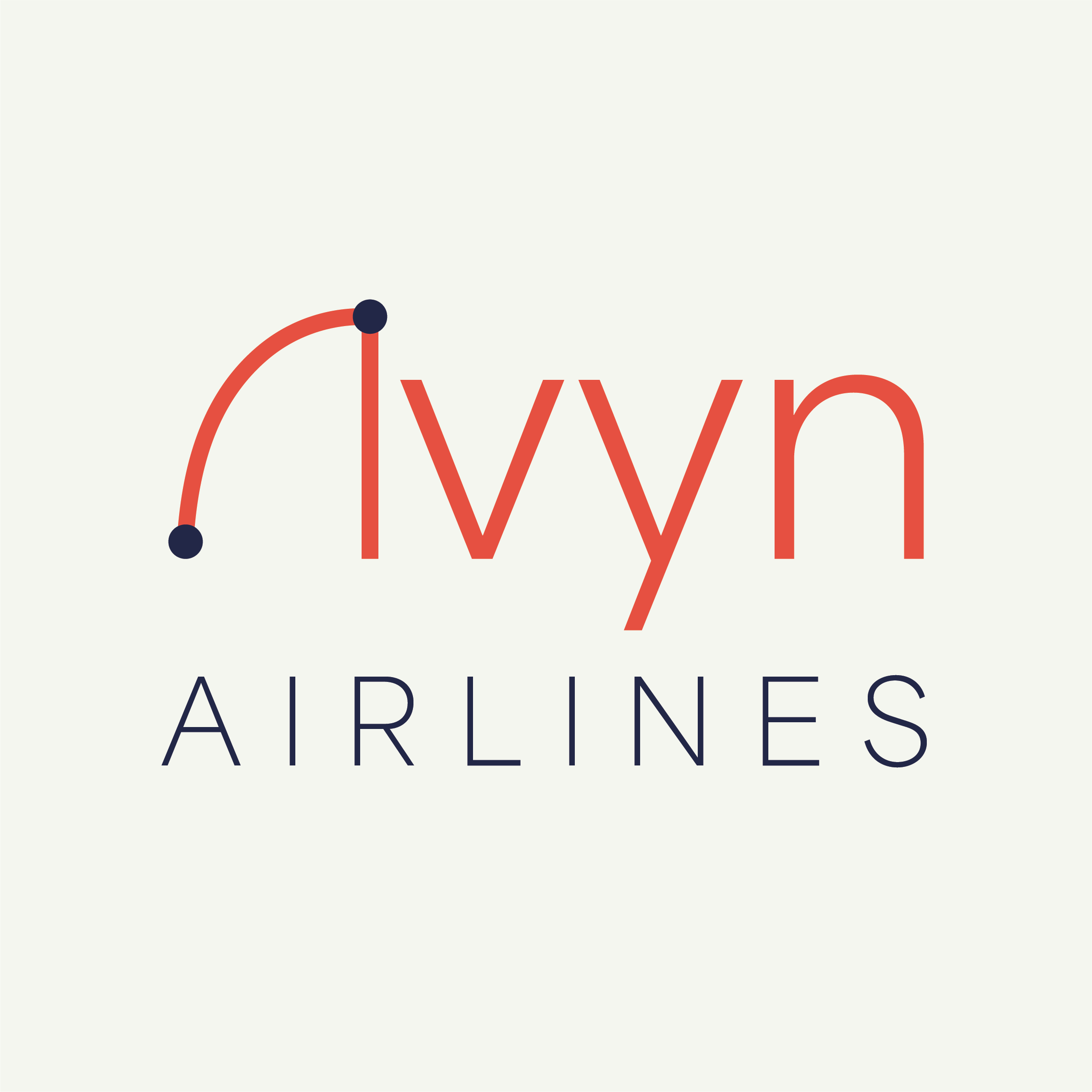 Avyn Airlines Branding