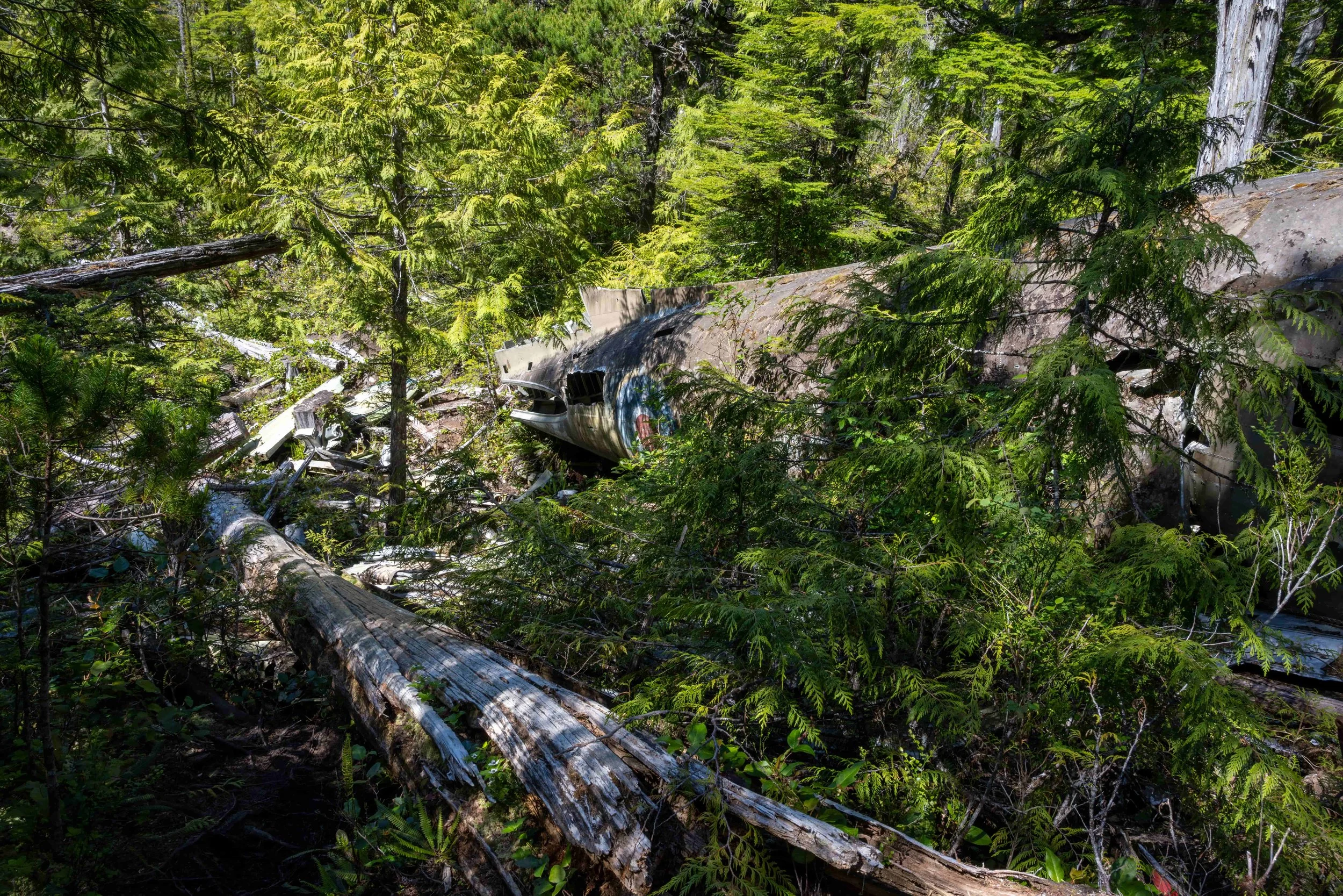 Dakota 576 plane crash wreckage in the forest near Port Hardy, Vancouver Island