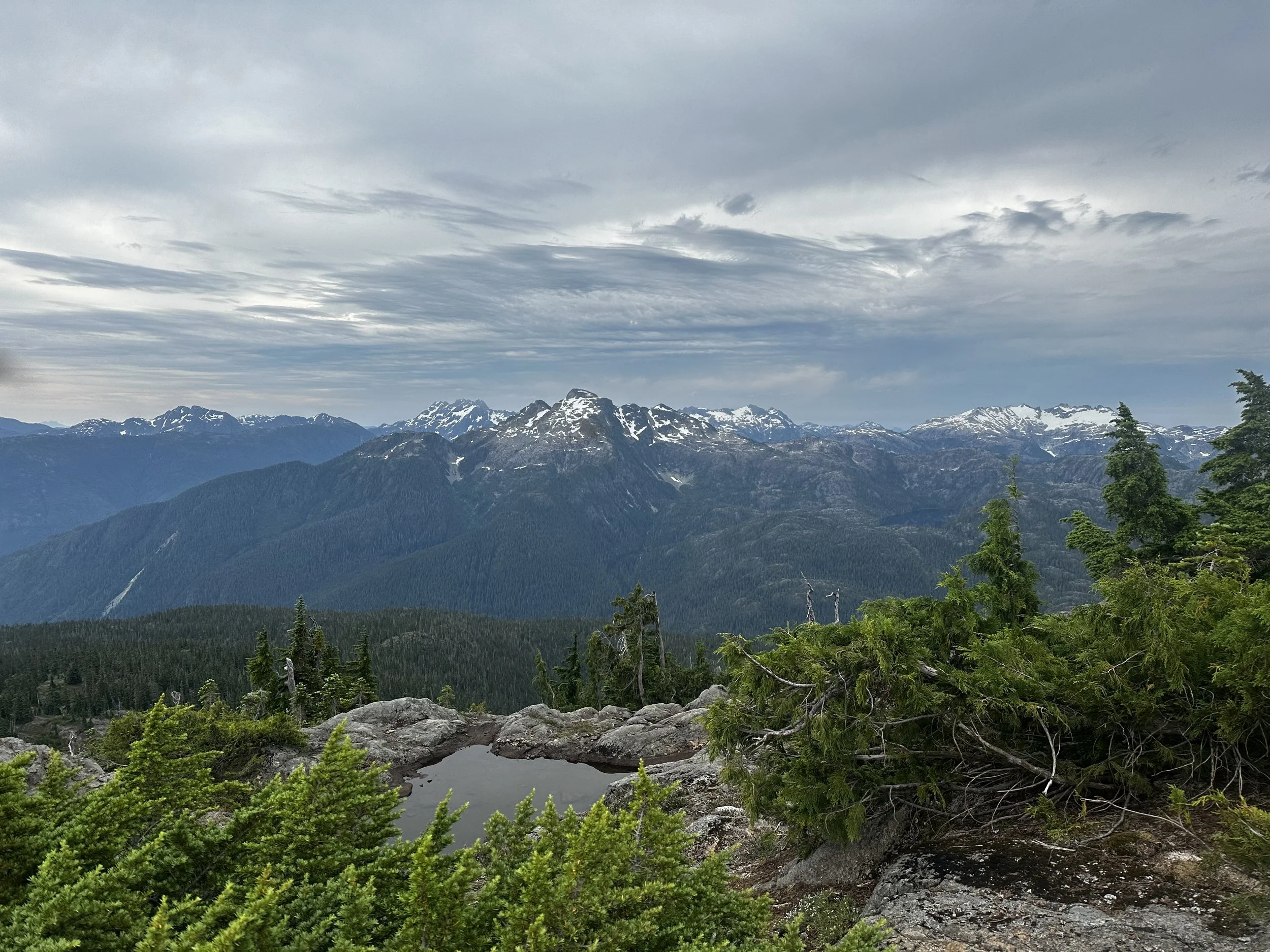 Panoramic view of rugged mountain peaks and forested valleys in Strathcona Provincial Park on Vancouver Island.