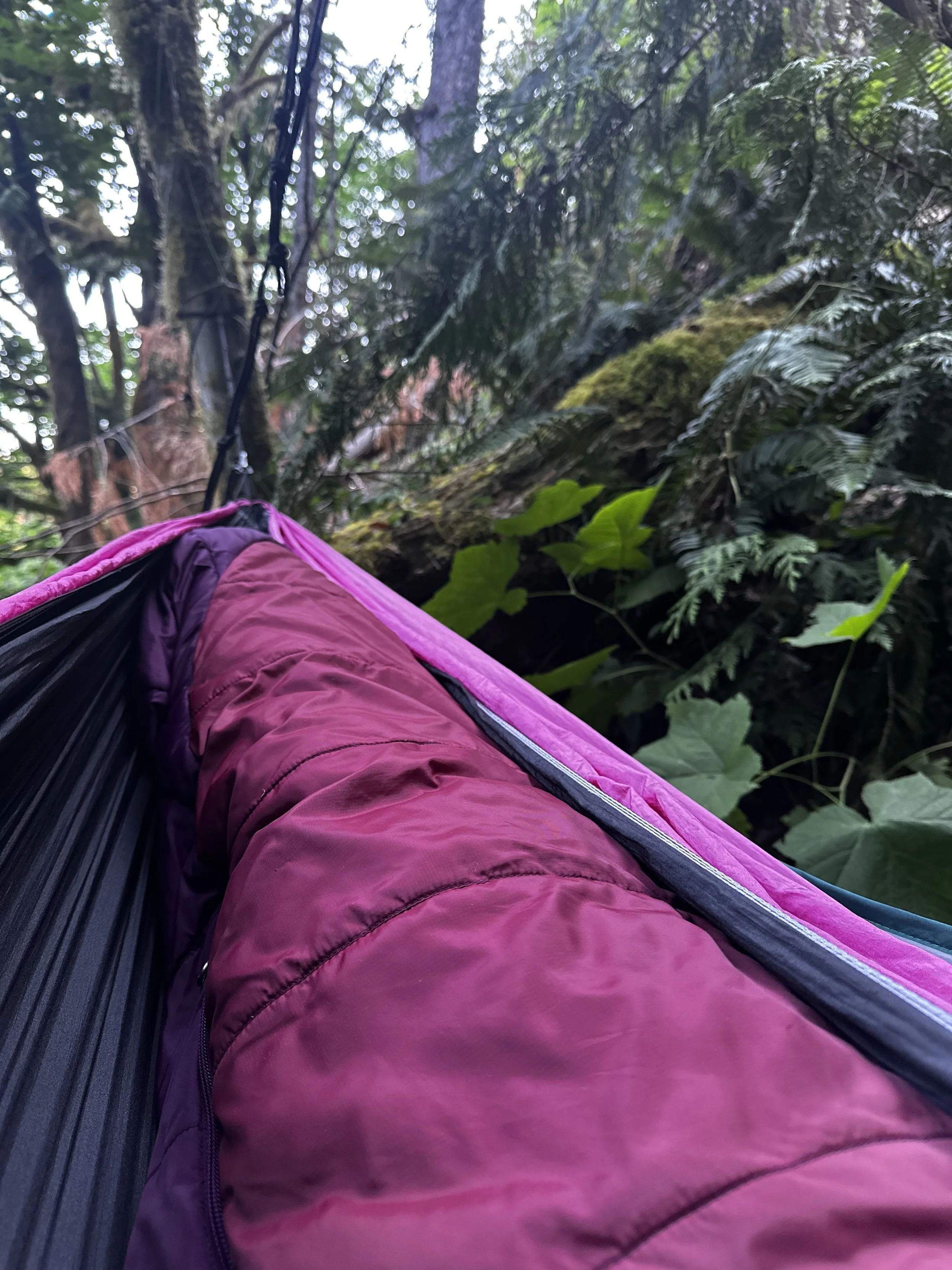 Person resting in a sleeping bag at a forest campsite on Vancouver Island surrounded by leaves