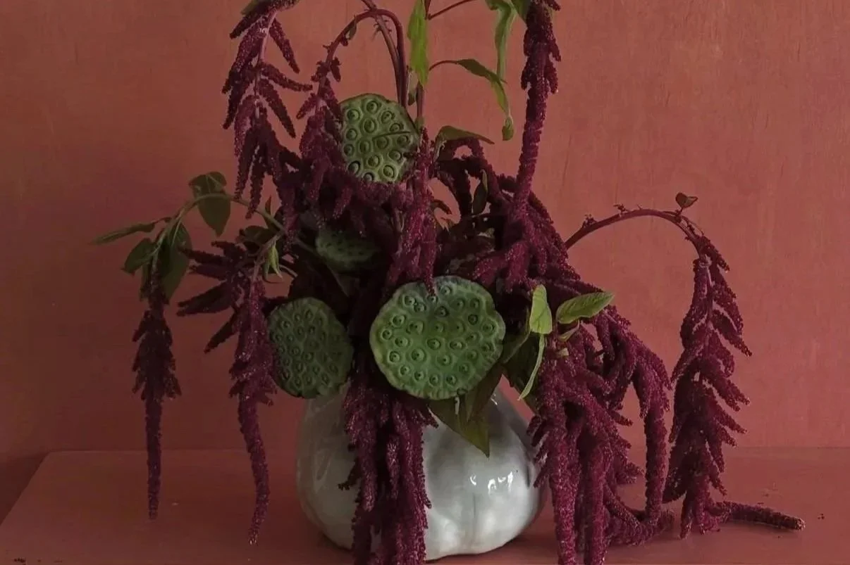       
  
     [ {
                "shape": "underline",
                "isFront": false,
                "isAnimationEnabled": false,
                "animation": "draw",
                "duration": 0.5,
                "direction": "right",
      