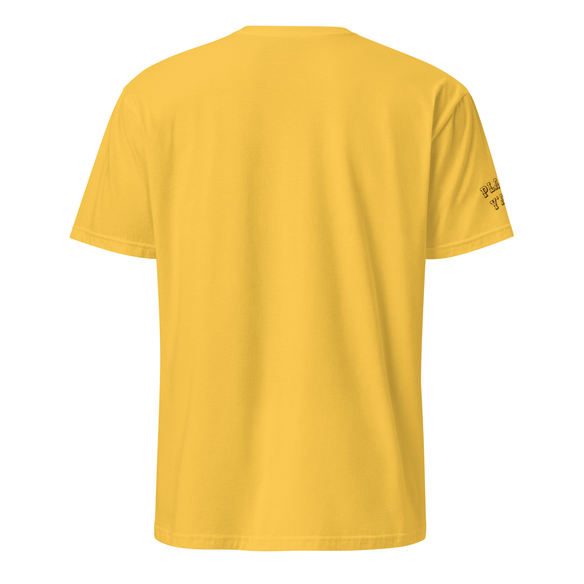 unisex-basic-softstyle-t-shirt-daisy-back-69f5298605d9d.png
