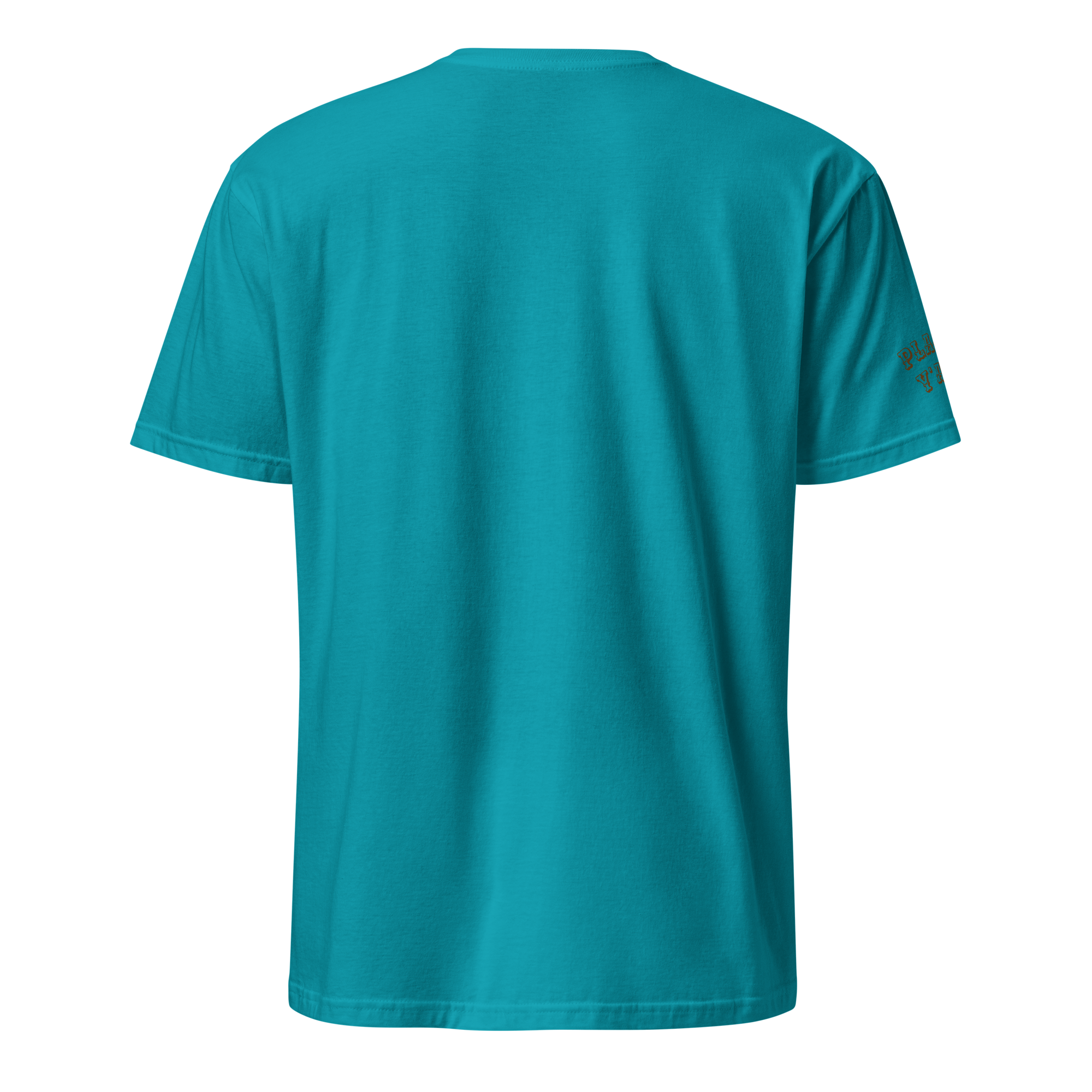 unisex-basic-softstyle-t-shirt-tropical-blue-back-69f5298605c66.png