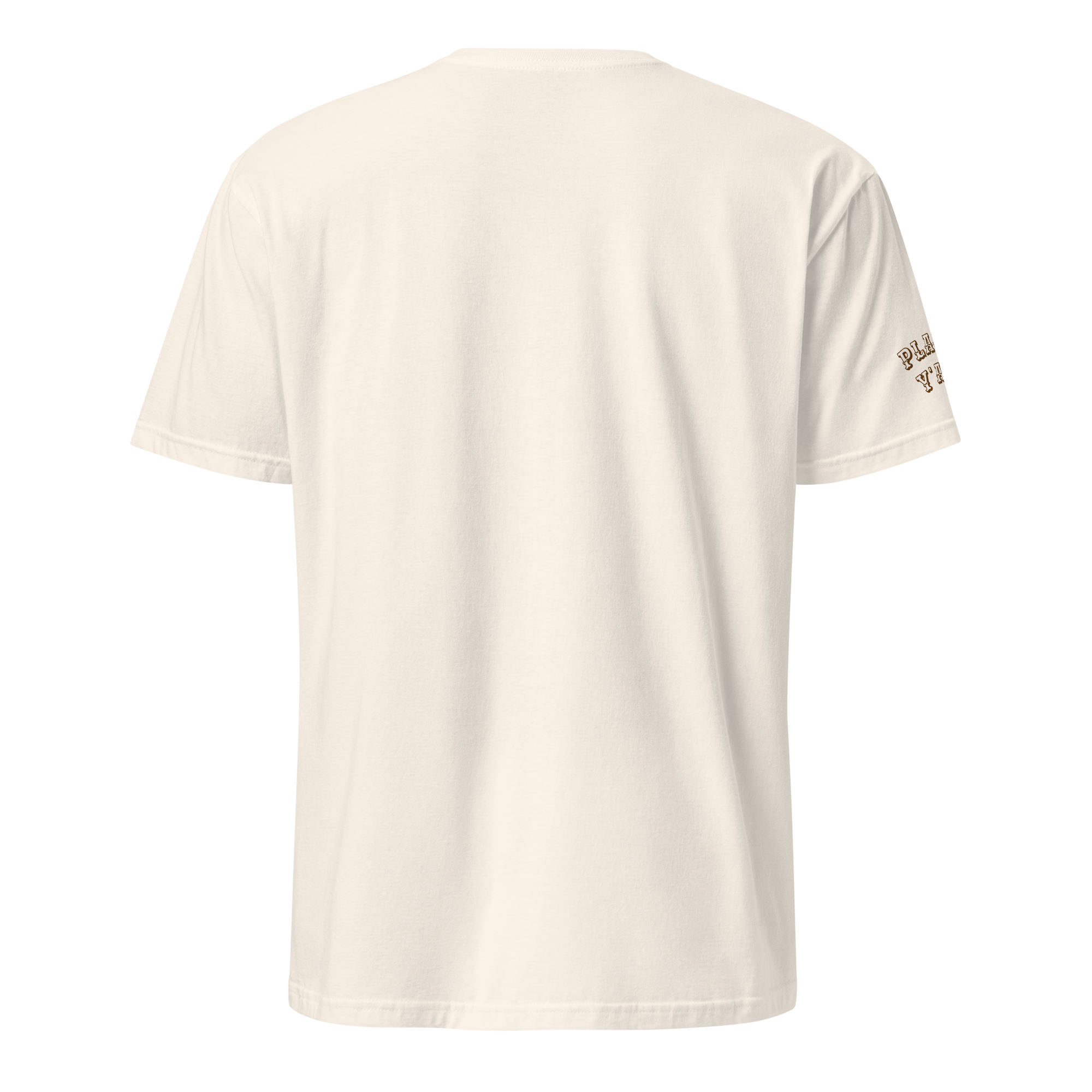 unisex-basic-softstyle-t-shirt-natural-back-69f5298605b37.png