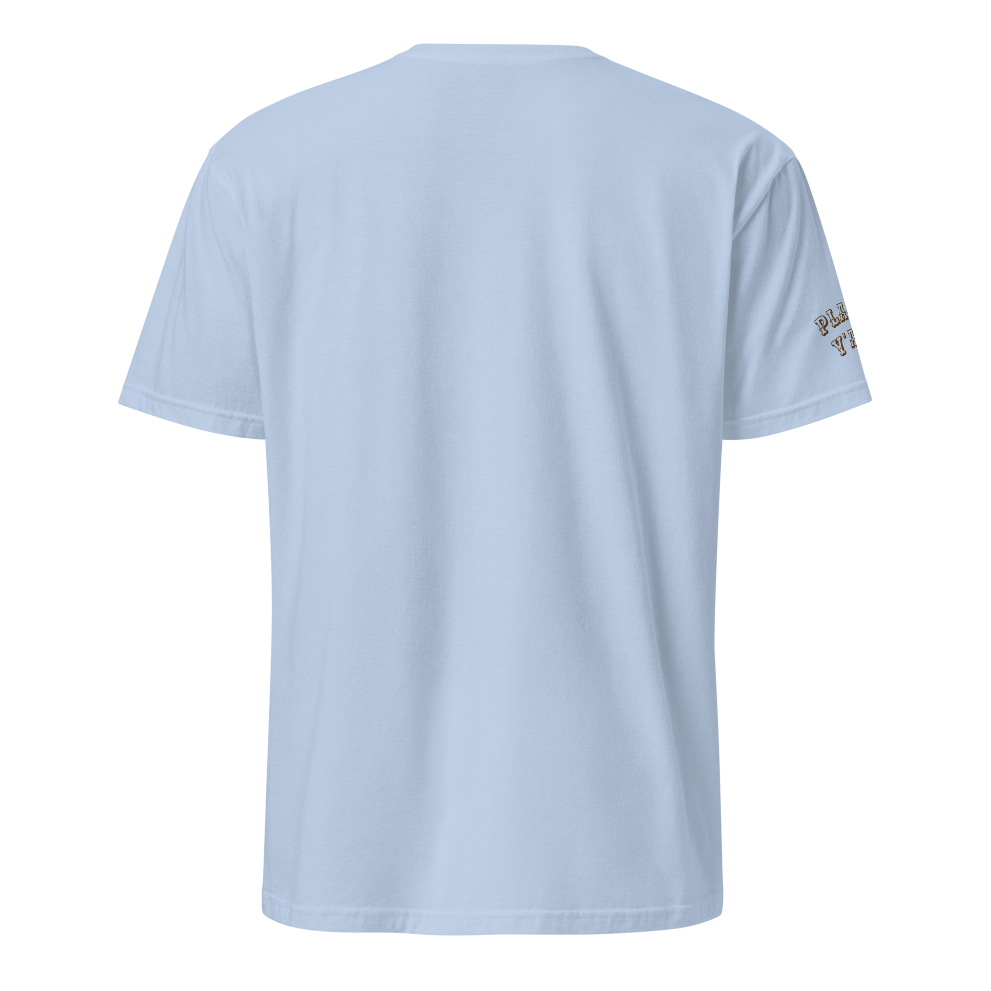 unisex-basic-softstyle-t-shirt-light-blue-back-69f52986058b7.png