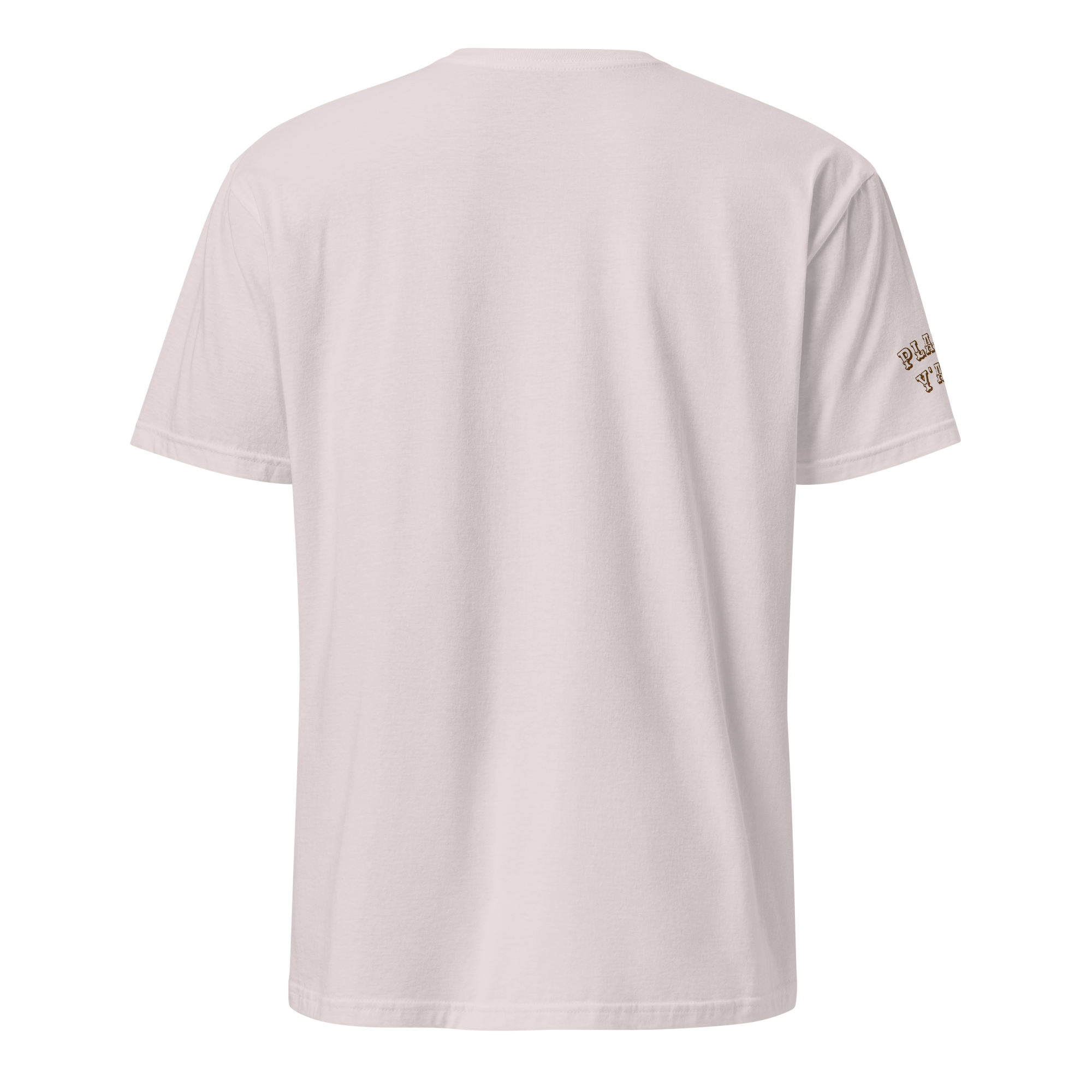 unisex-basic-softstyle-t-shirt-ice-grey-back-69f5298605bd0.png