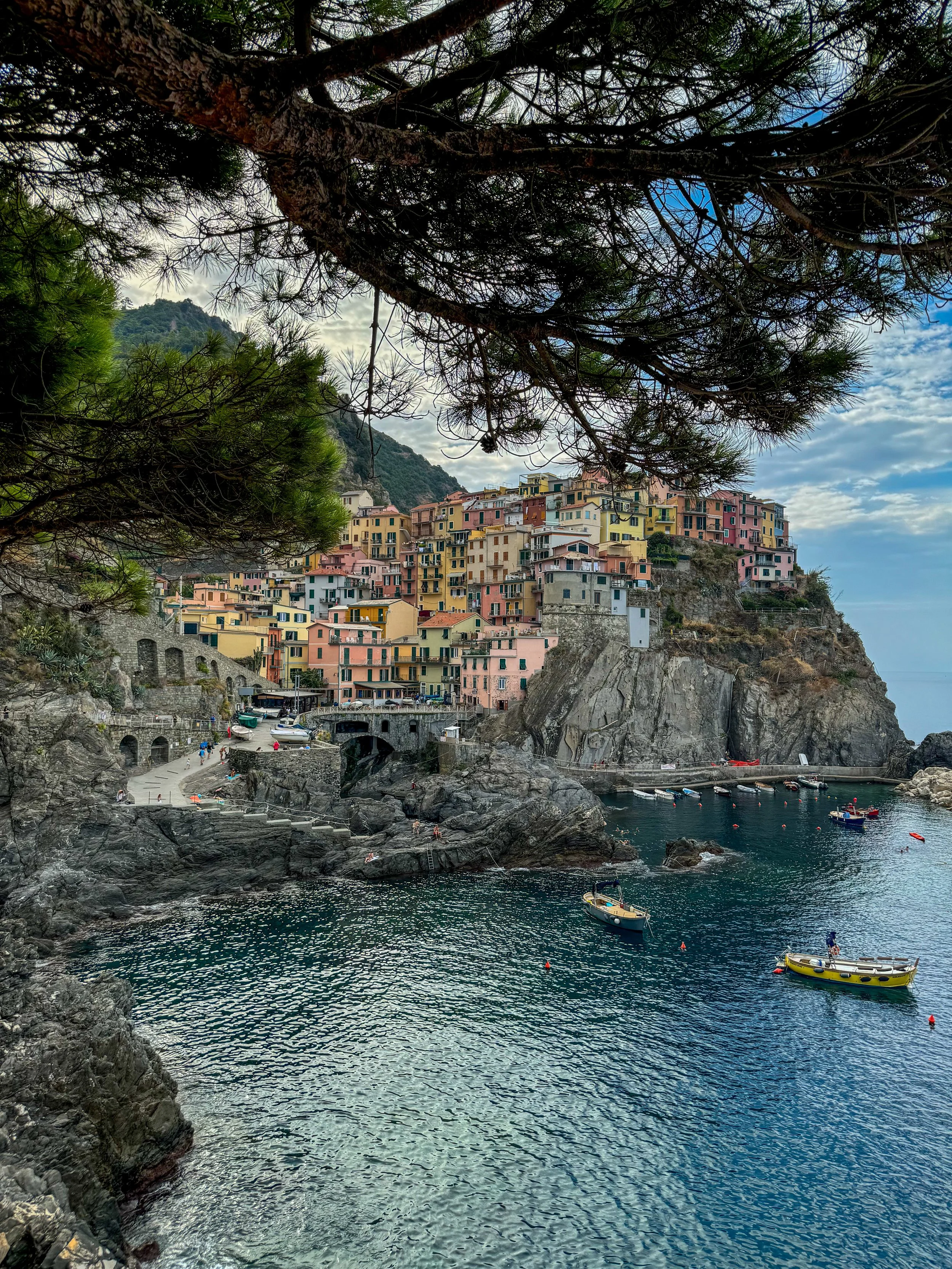 Colorful houses on a hillside overlooking the water in a coastal town, framed by tree branches in the foreground.
