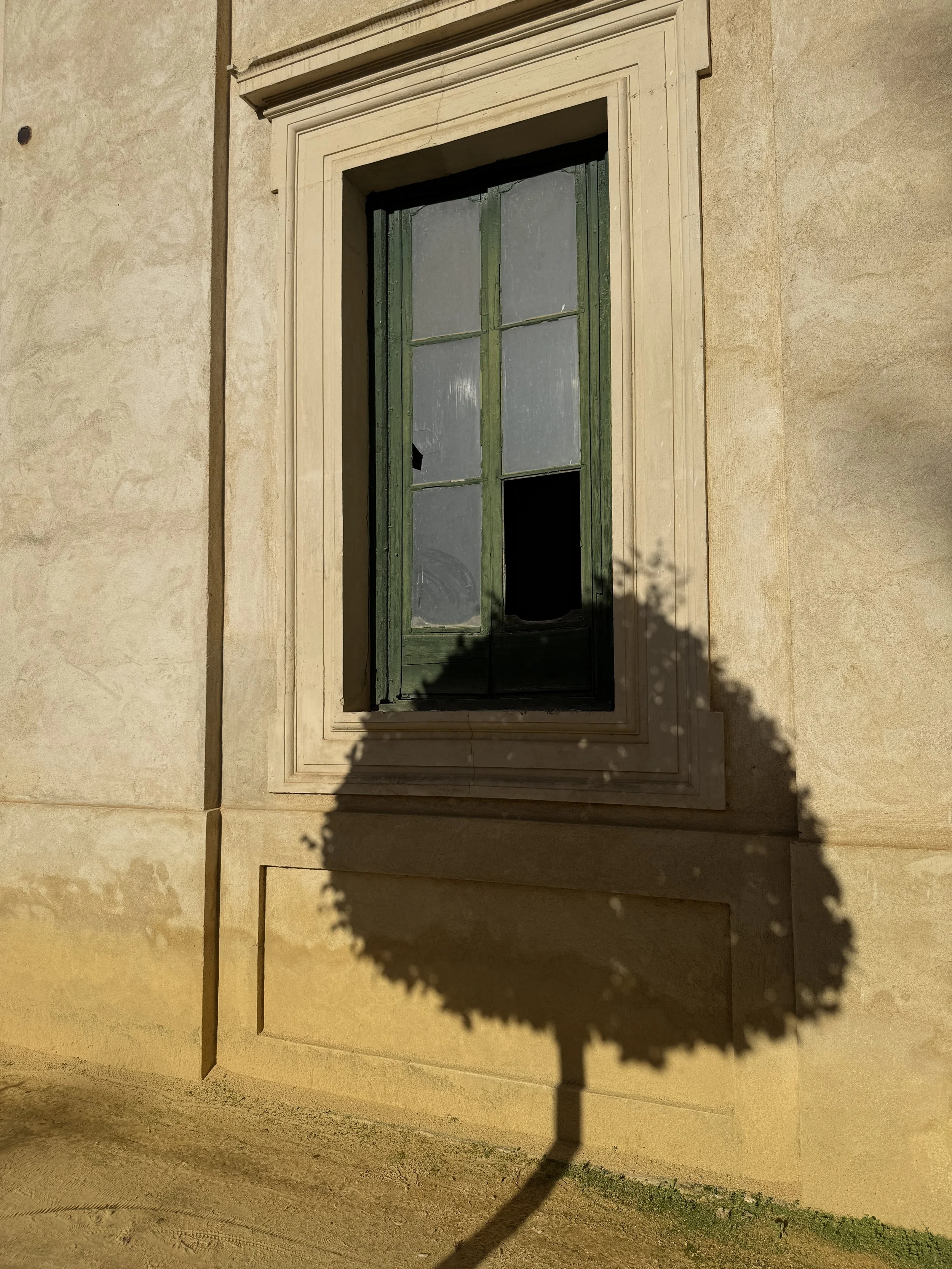 A window with green shutters on a beige stone wall, with a shadow of a decorative tree or plant cast on the wall below.