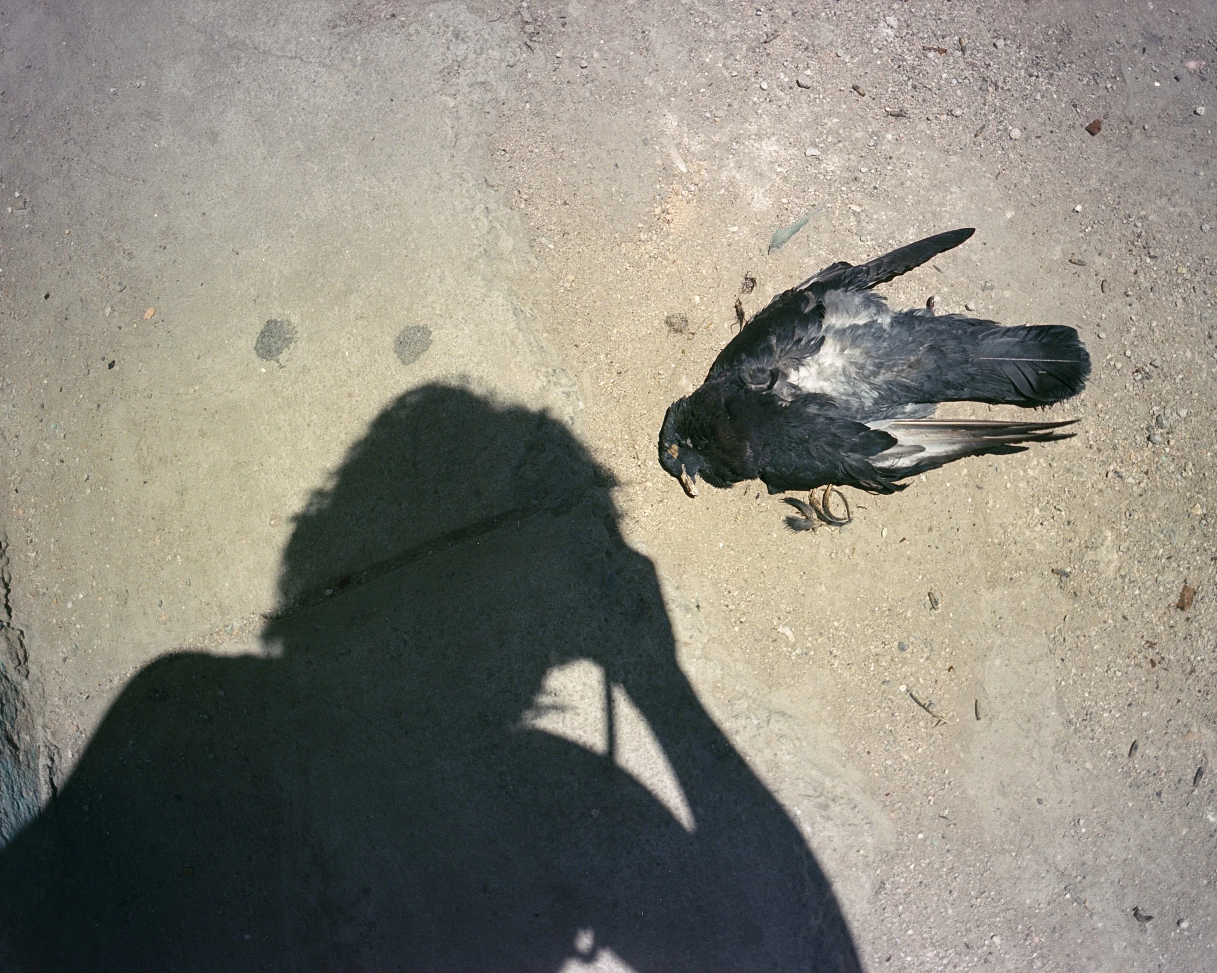 08 Shadow Practice: Moník Molinet .jpg