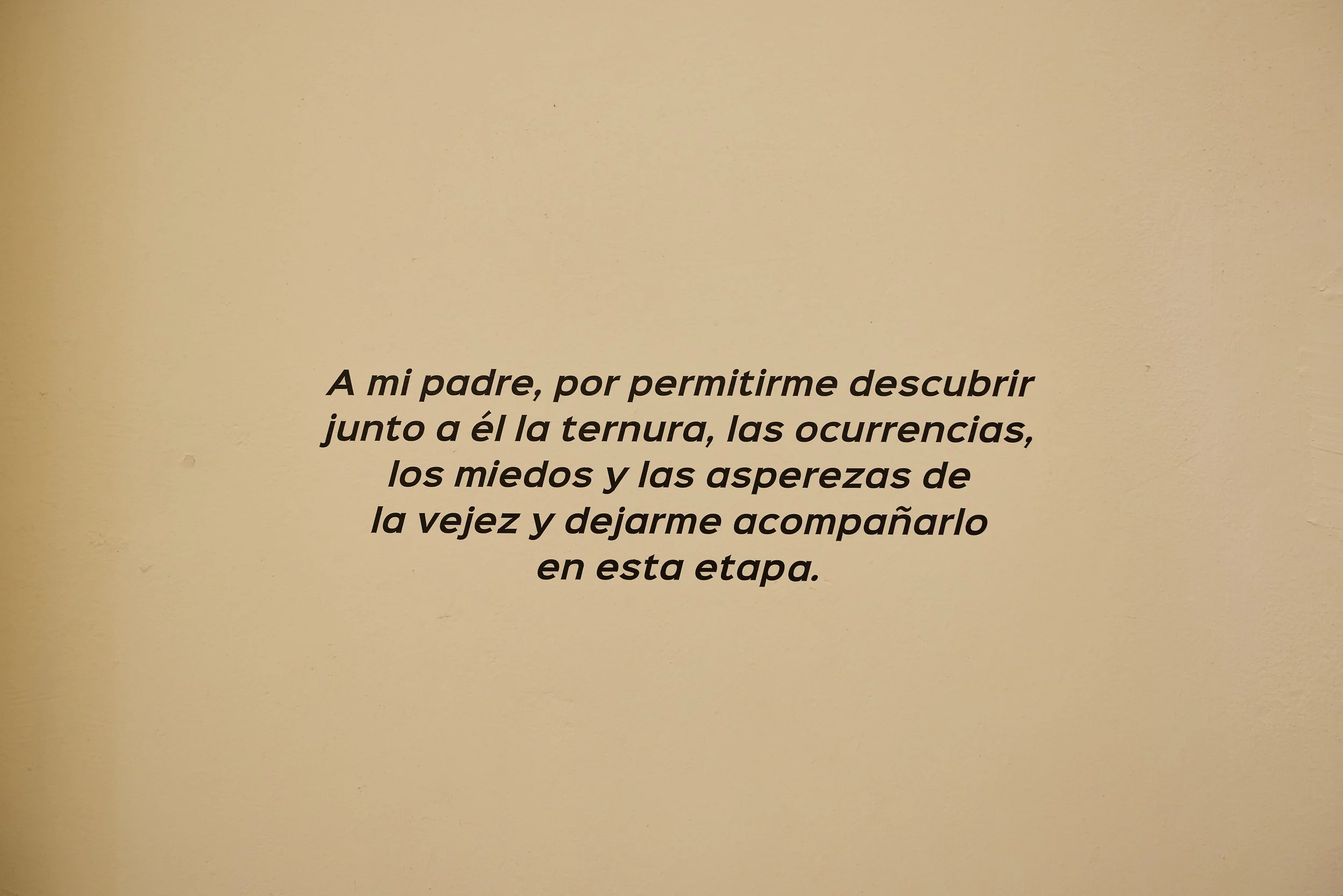 Documentación Abuelas y abuelos prestados Expo bienal 70.jpg