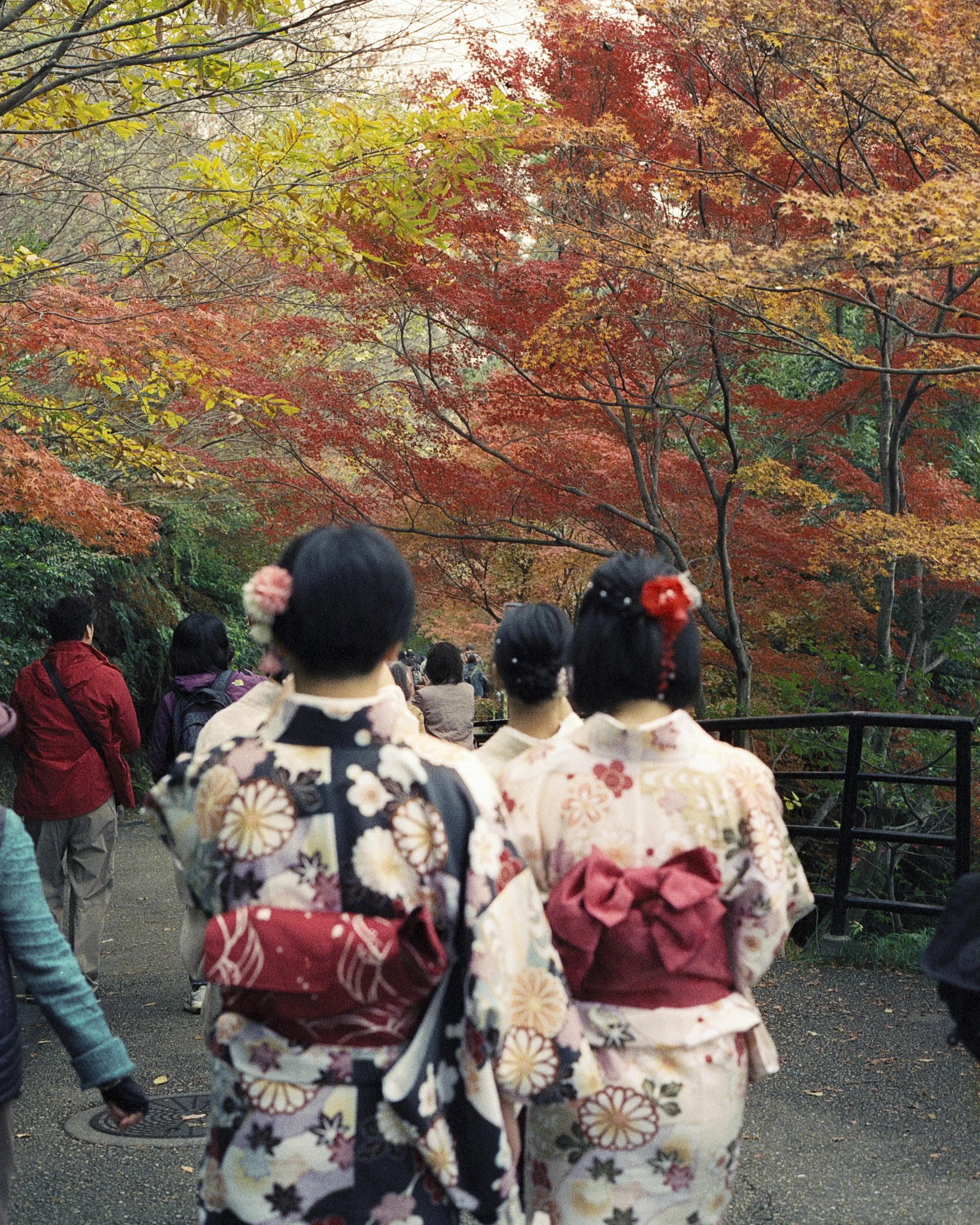 09 Instant Geishas 10mb.jpg