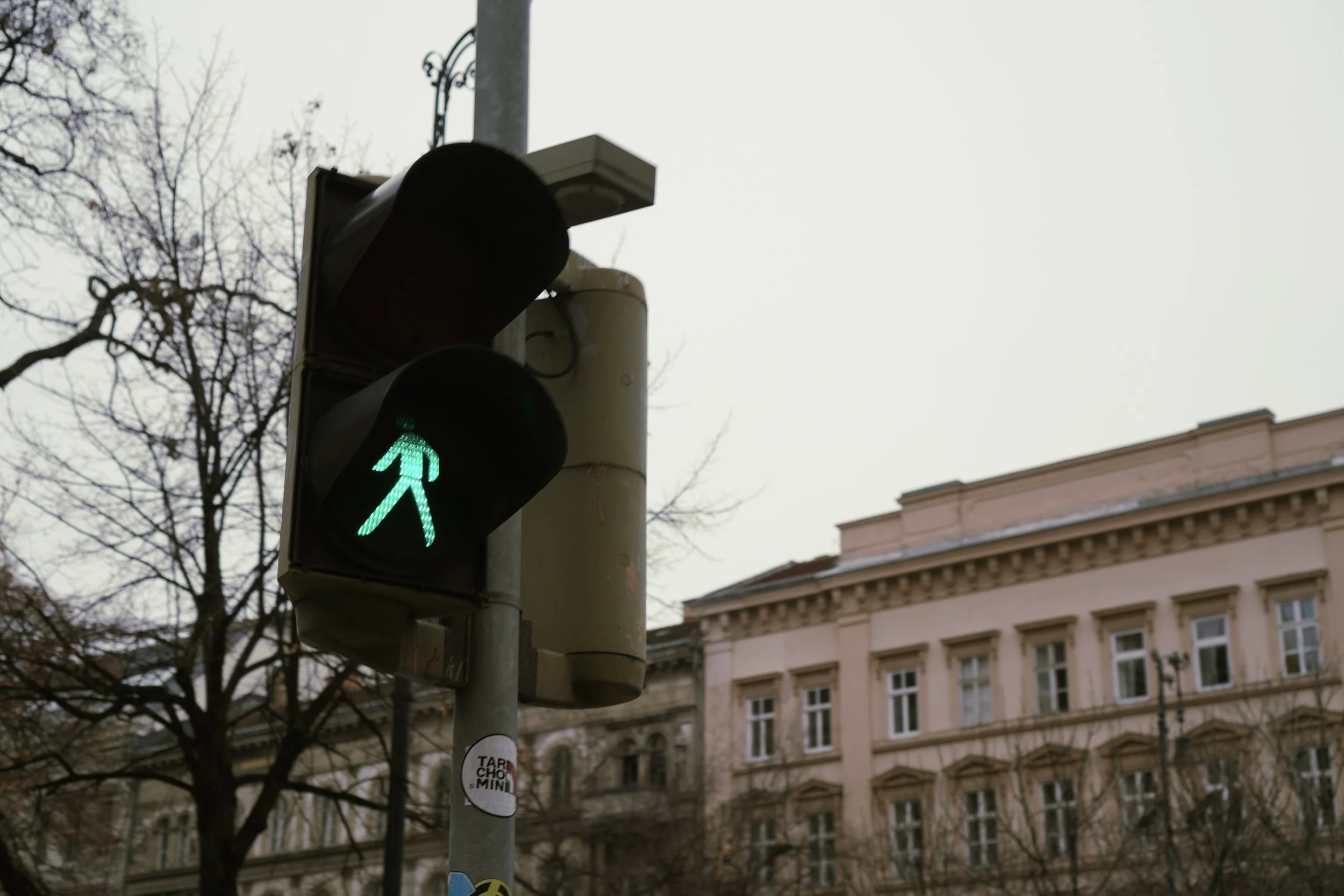 DSC00979.jpeg