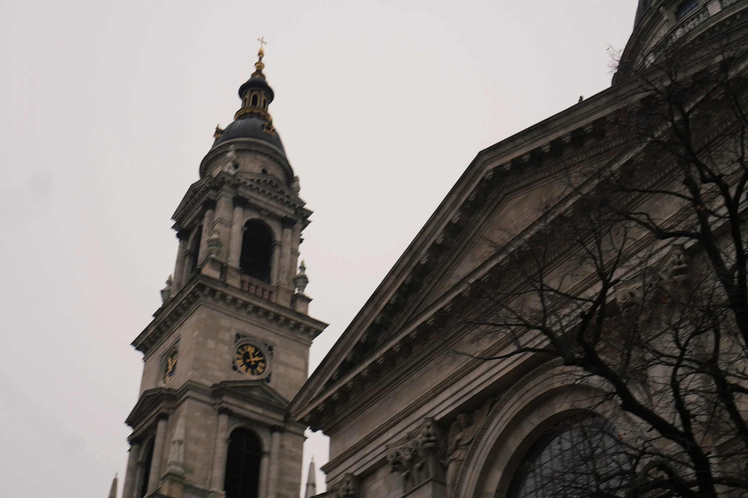 DSC00987.jpeg