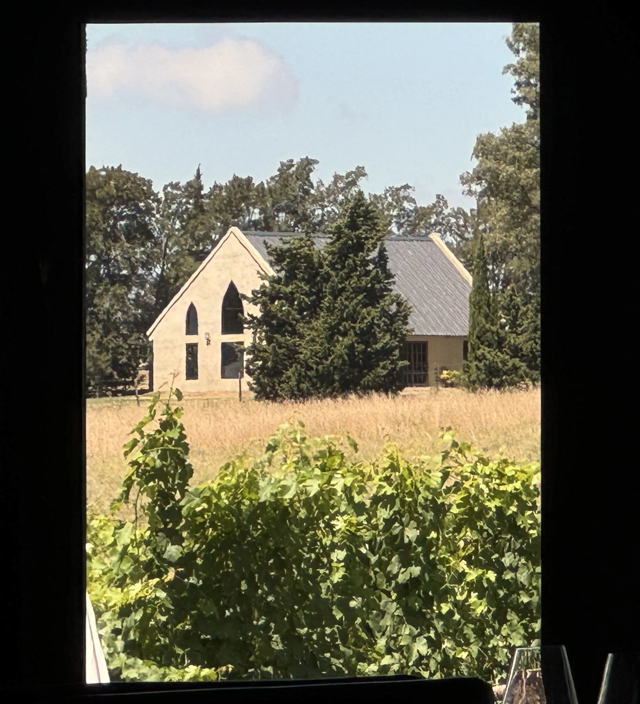 IMG_7923.jpeg