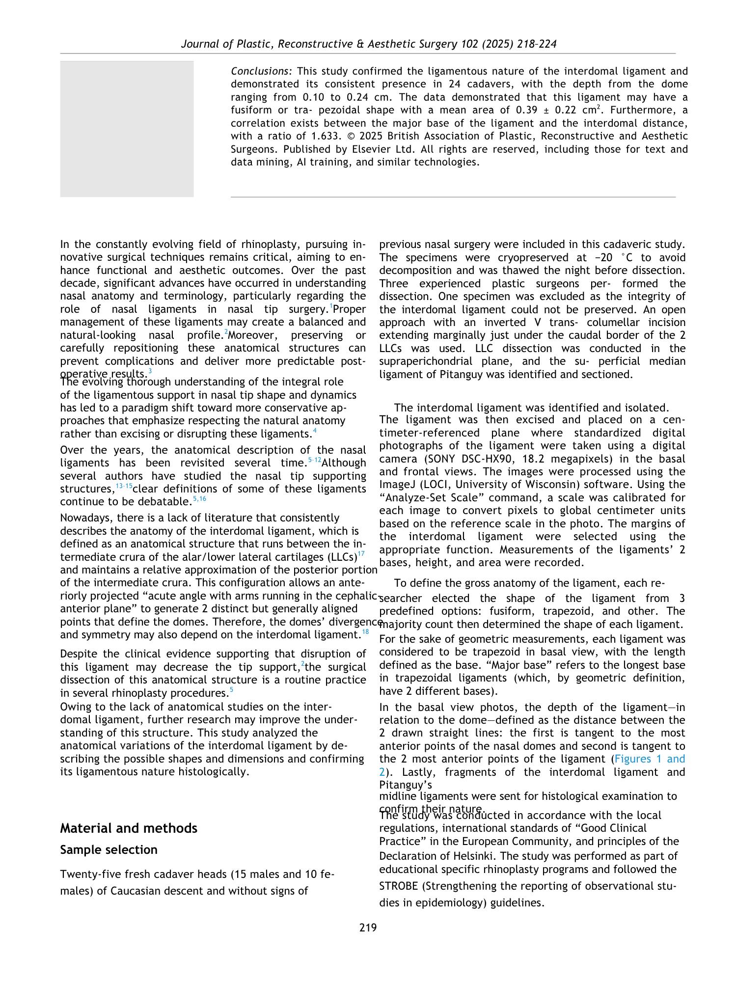 Pagina di rivista scientifica con testo e grafici su studi anatomici del legamento intermedio del naso.