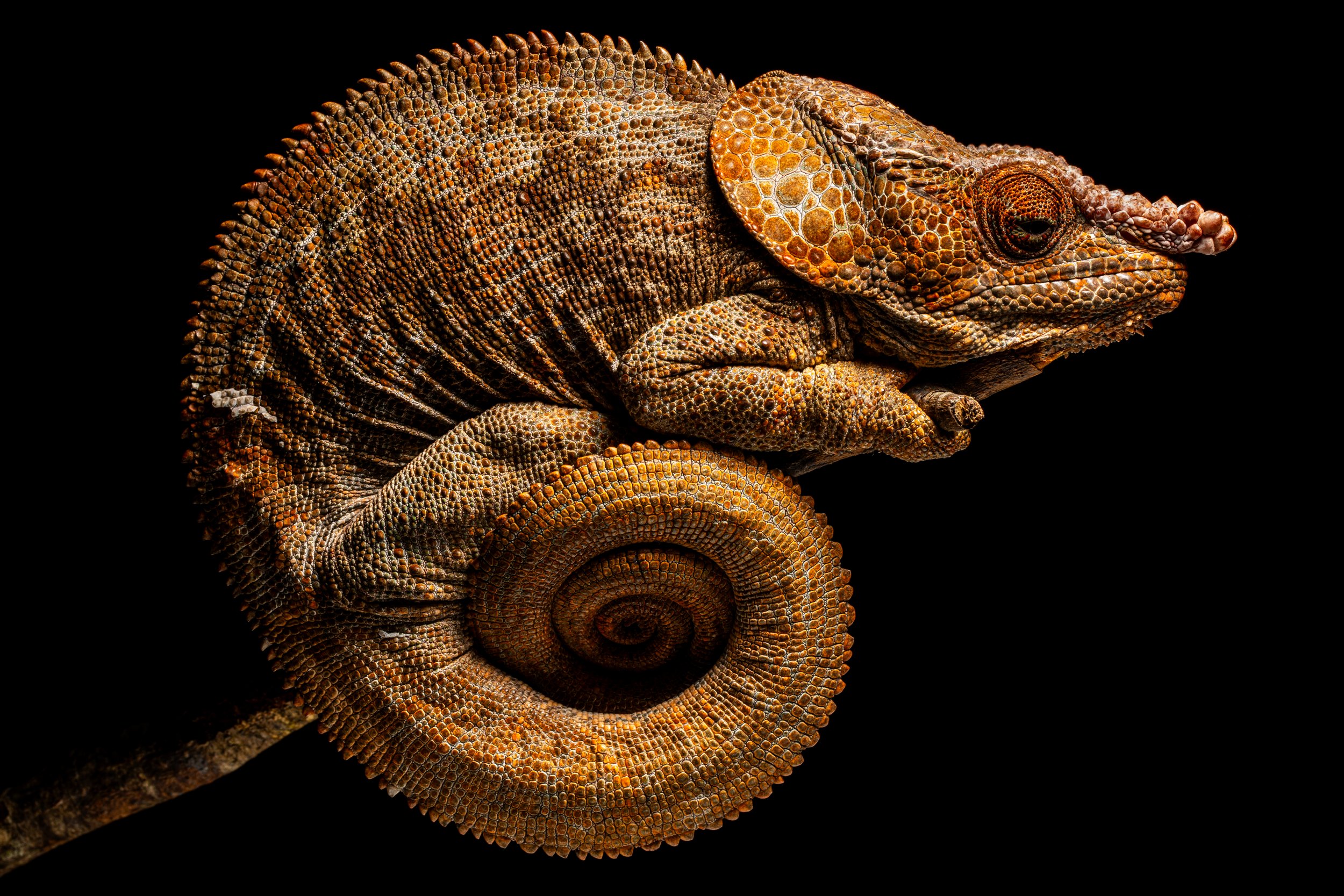 20230618-IMGL4546 2023-07-23 18_31_18.jpg