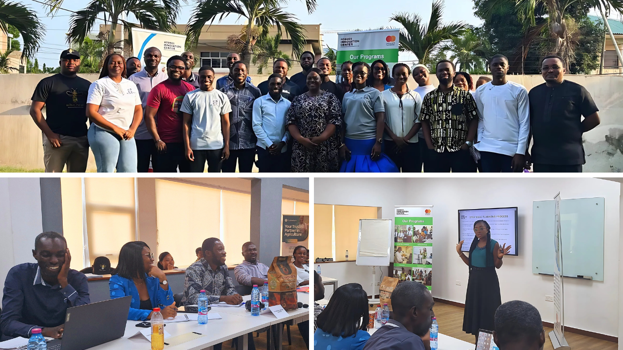 Empowering Agribusinesses for Long-Term Success