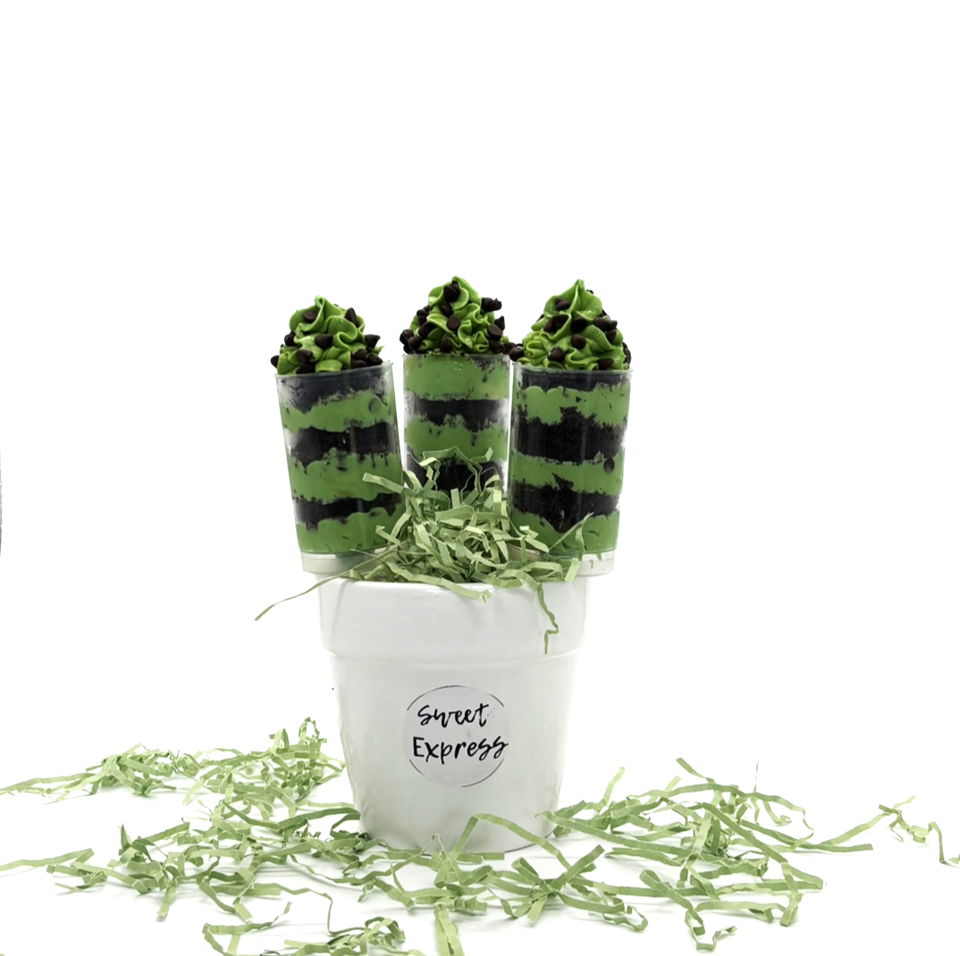 Mint Chocolate _Push Pop.png