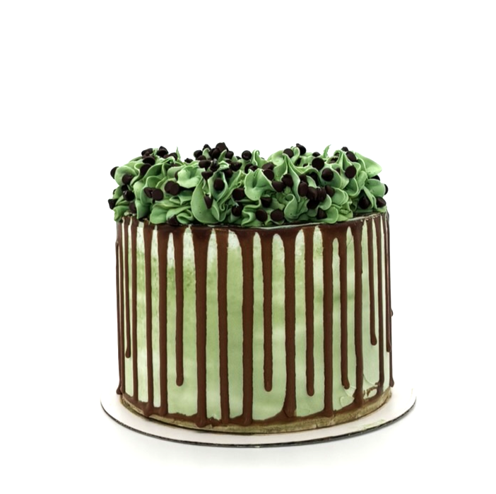 Mint Chocolate Chip_Cake .png