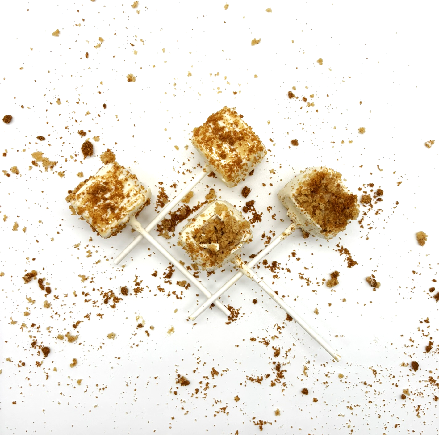 Pumkin Biscoff_Cake Pop.png