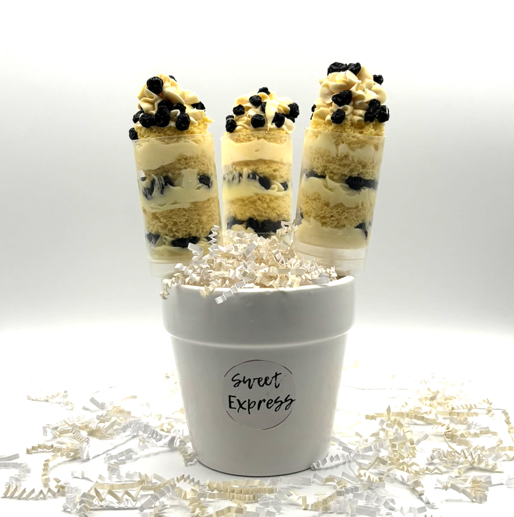 Lemon Blueberry_Push Pop.png