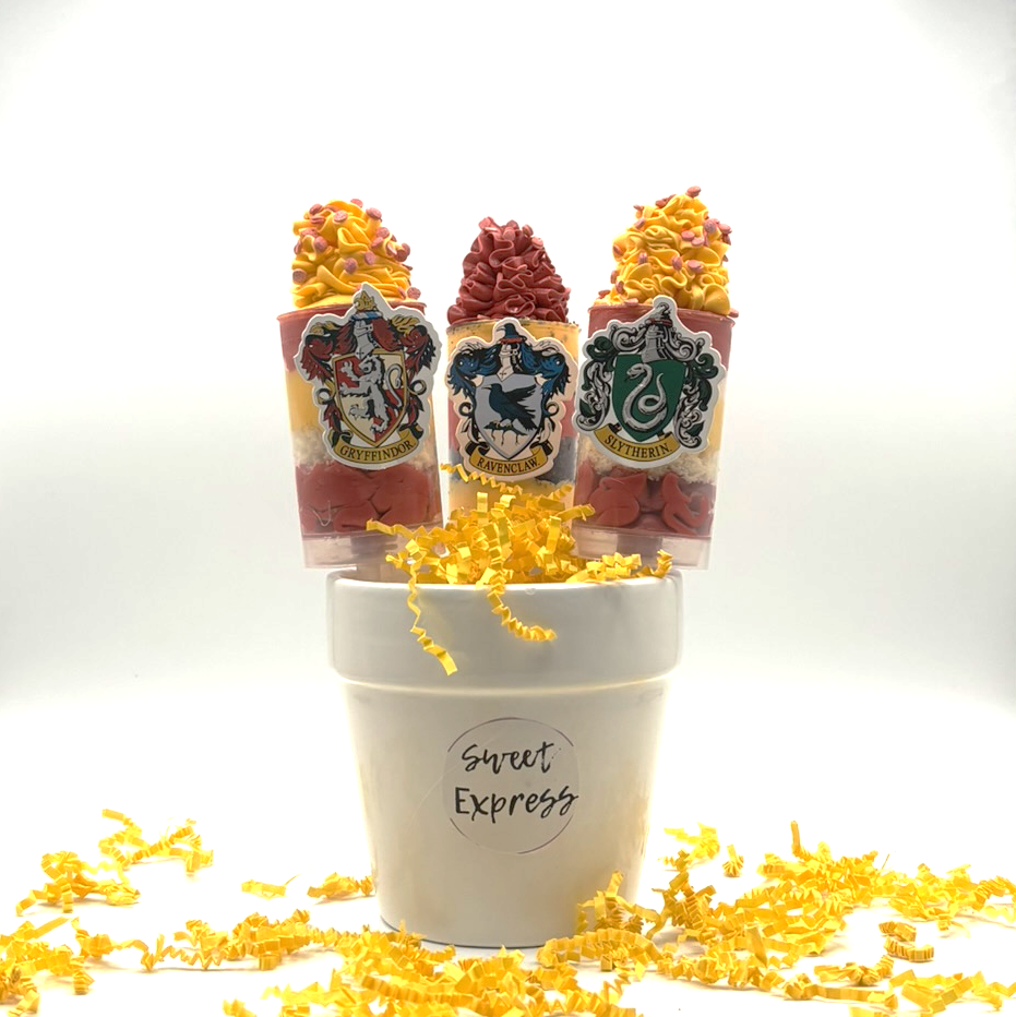 Harry Potter_Push Pop.png