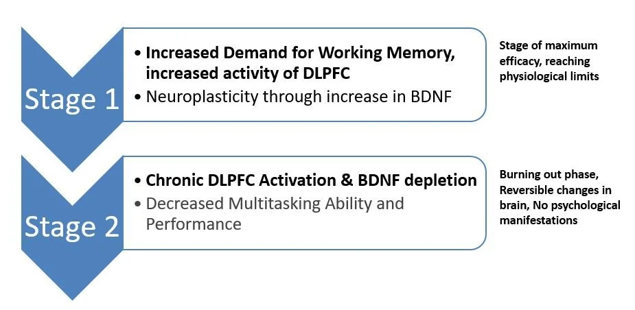 Diagram showing two stages of brain activity related to neuroplasticity. Stage 1 involves increased demand for working memory and increased activity of DLPFC, reaching physiological limits. Stage 2 involves chronic DLPFC activation and BDNF depletion, resulting in decreased multitasking ability and performance.