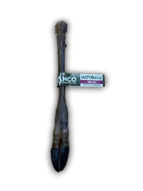 dog chew deer leg.webp (Copy)