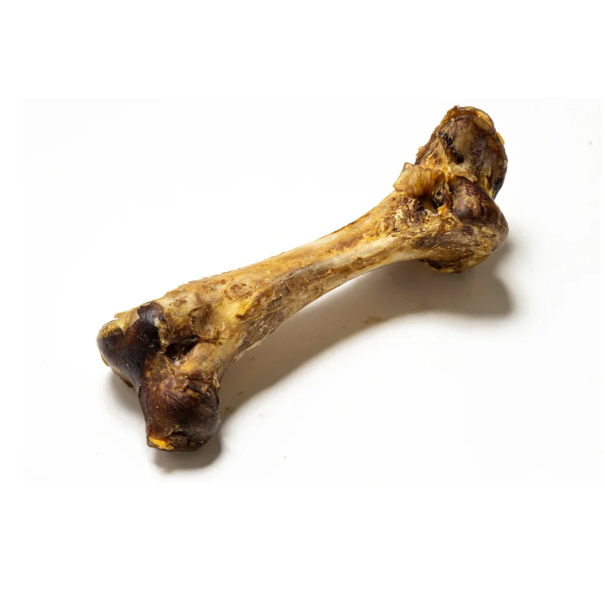 Ostrich Bone