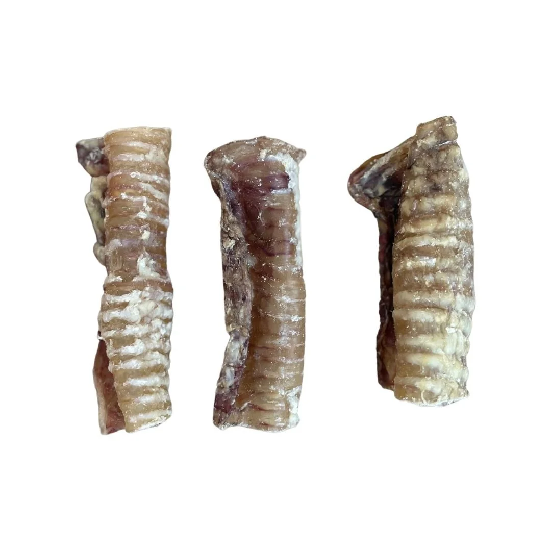 beef trachea dog chew.jpg