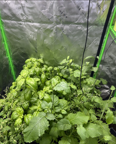 Screenshot 2026-03-15 162307.png