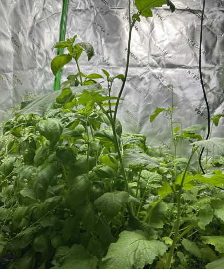 Screenshot 2026-03-15 162319.png