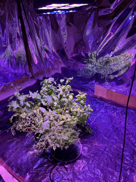 Screenshot 2026-03-15 201407.png