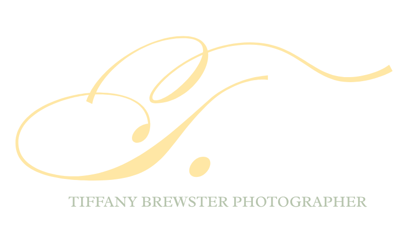 Tiffany Brewster Photographer