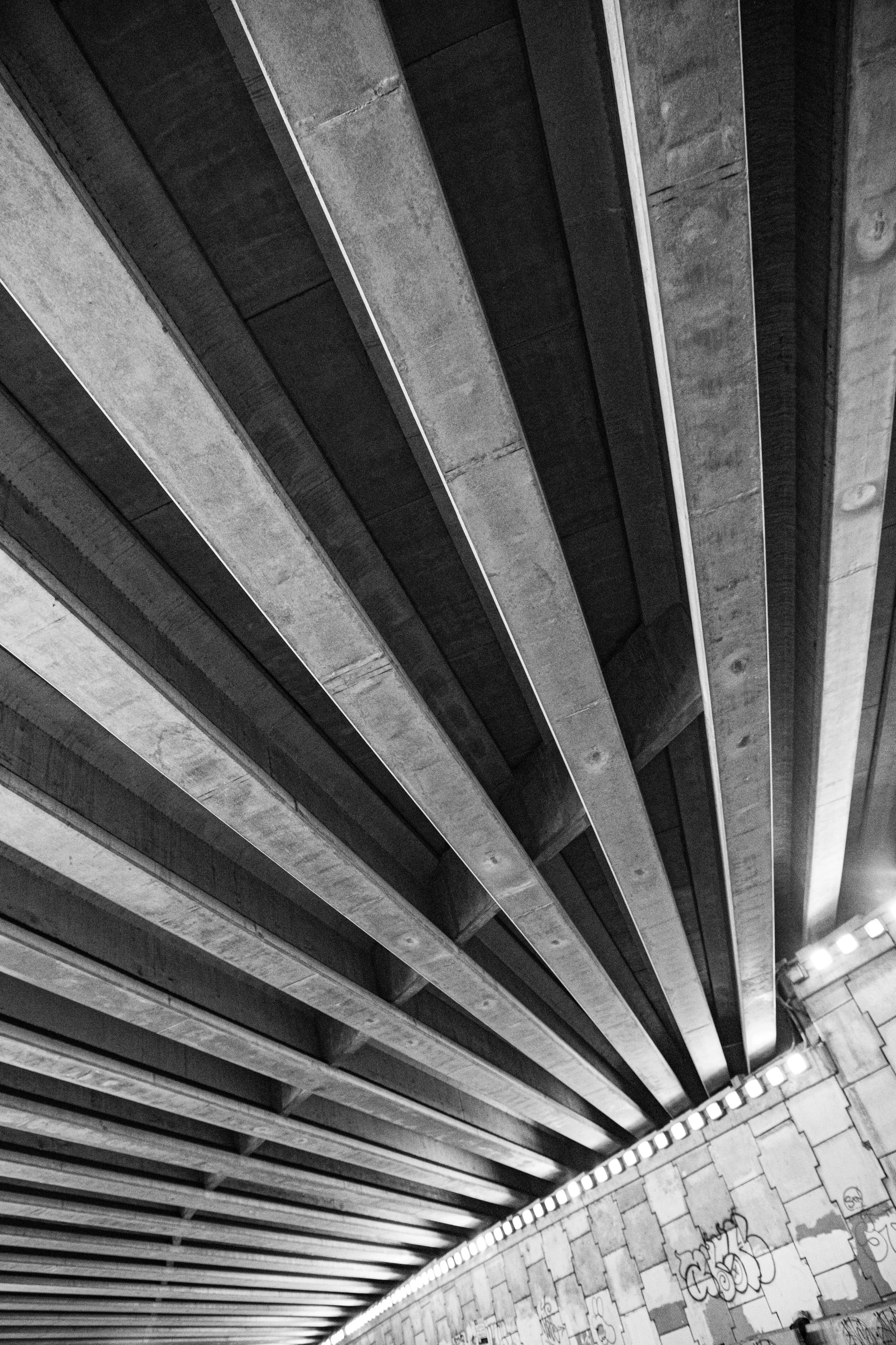 Exposure 10 // Tunnel Bones