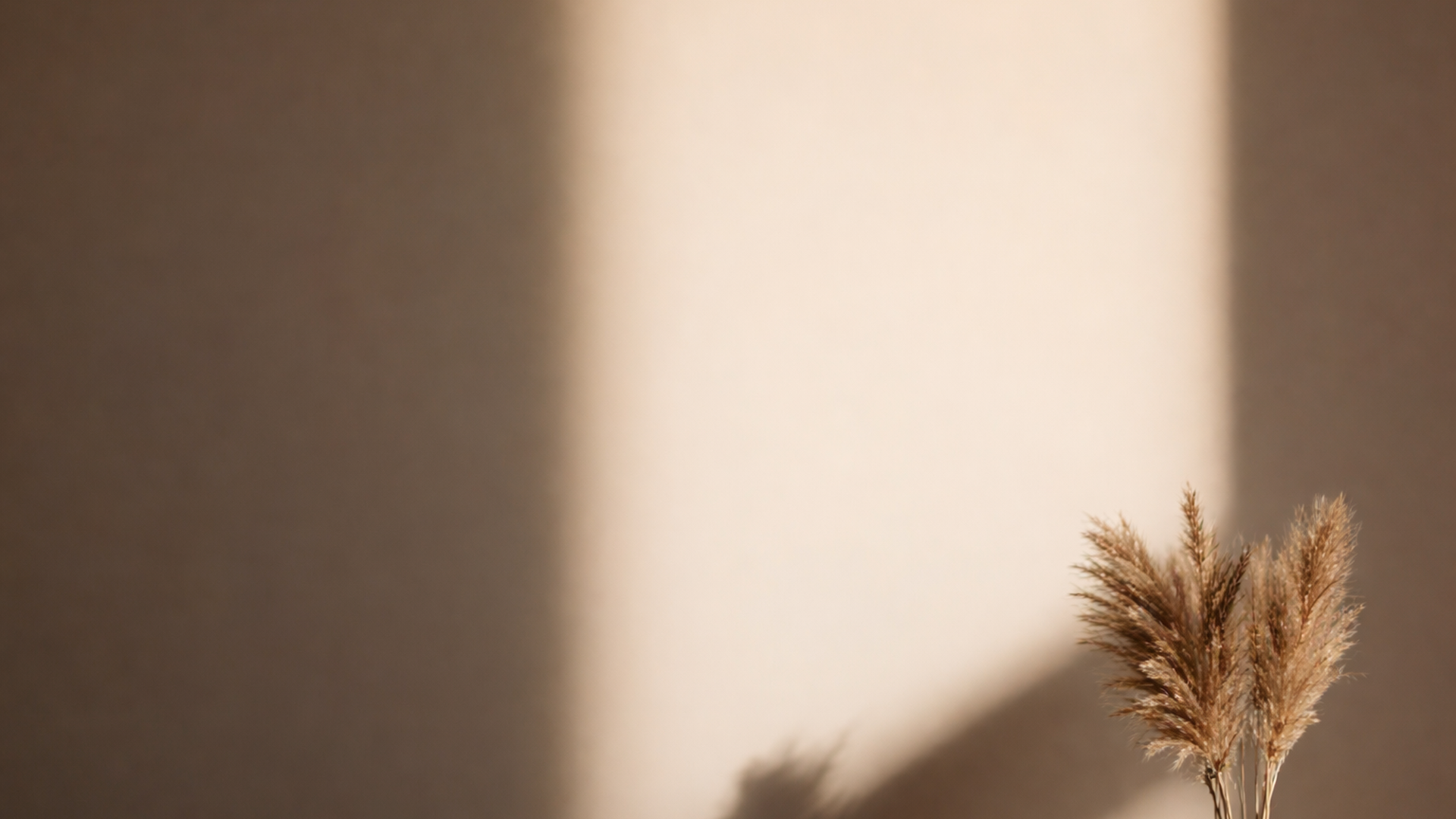 A cluster of dried grass stems casting shadows on a beige wall, illuminated by sunlight.