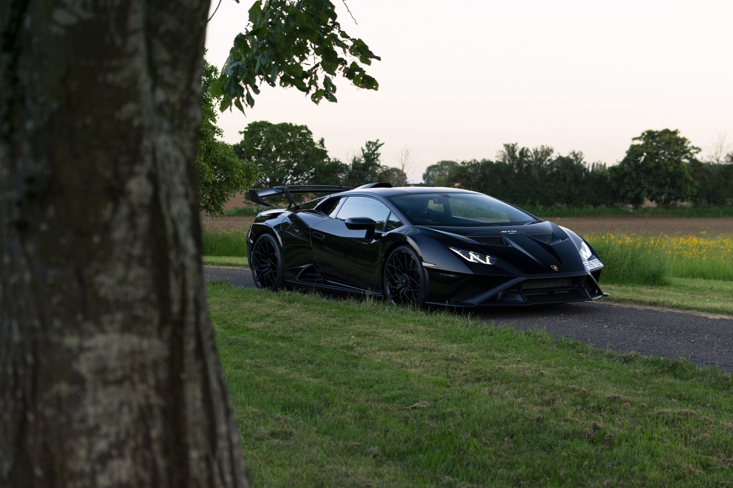 DSC_0380 better.jpg
