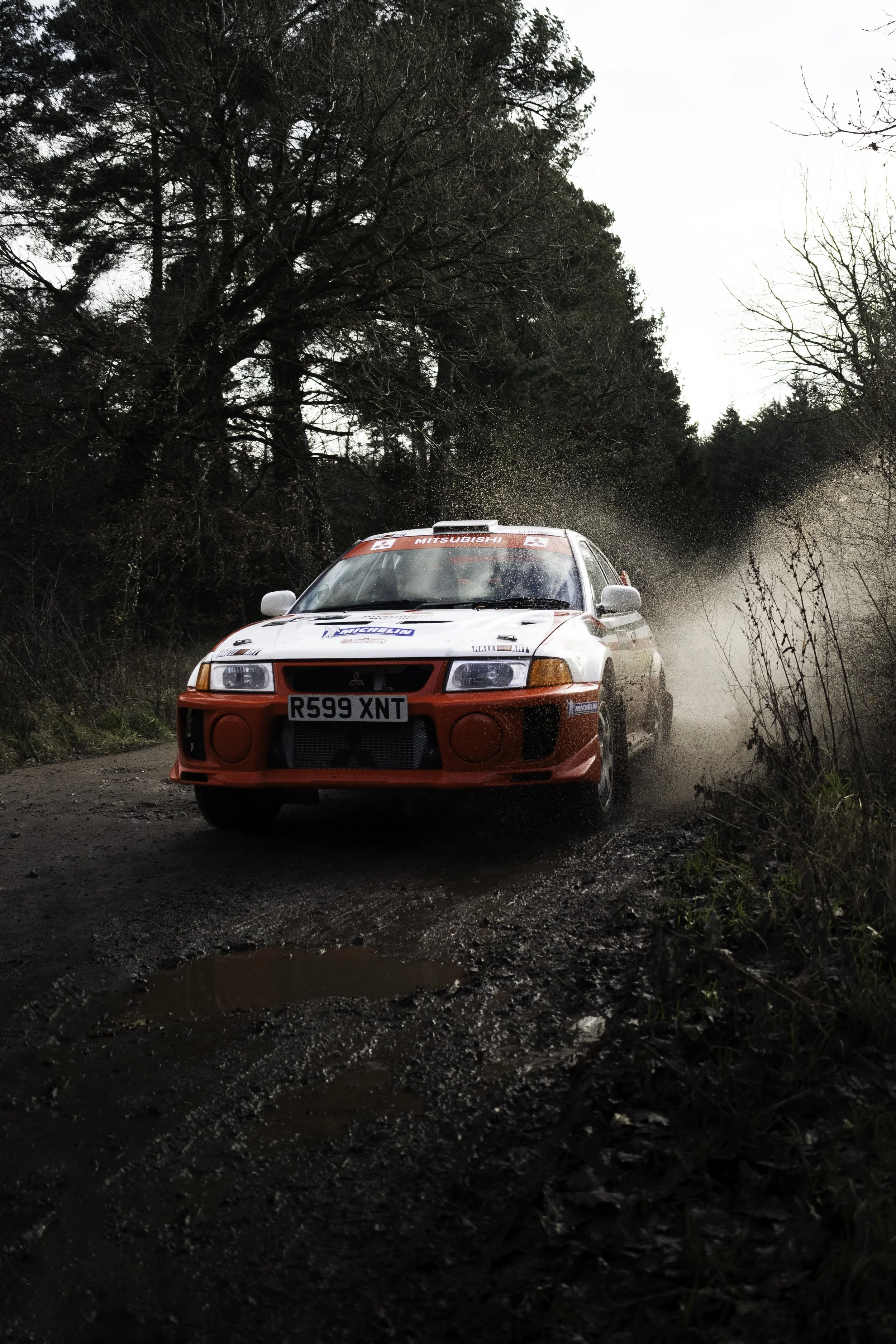 DSC_1903-Edit-Edit.jpg