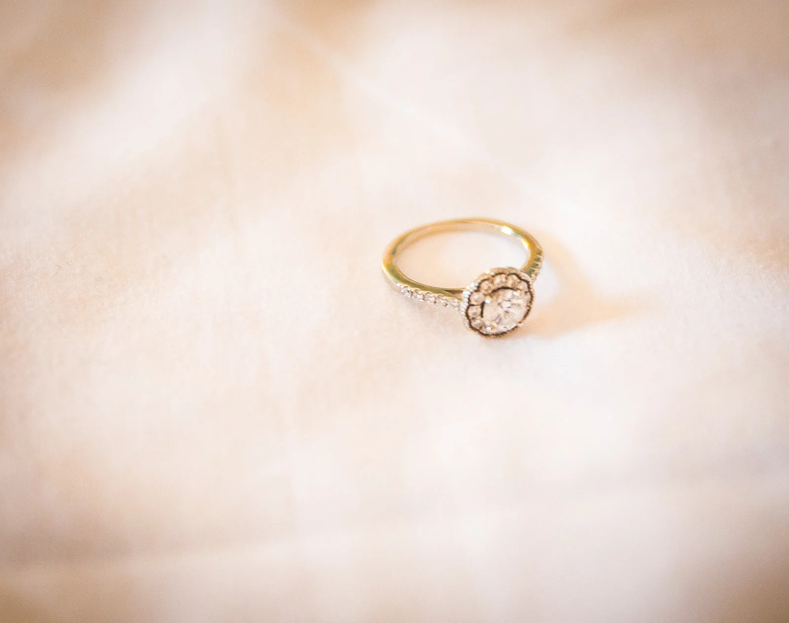   Kelly &amp; Jeff - Wedding Gallery     Location: Ocean City, MD   Photographer: Dennis Tyhacz  Venue:  Dunes Manor, Ocean City, MD   