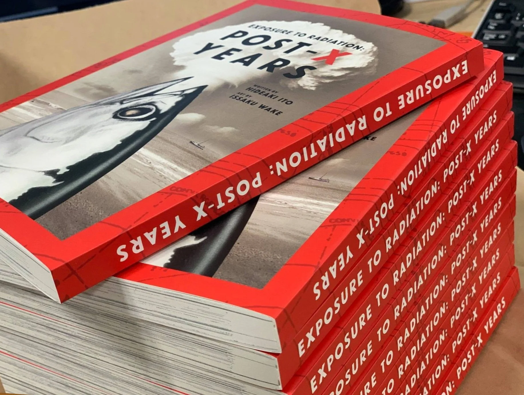 Stack of books titled 'Exposure to Radiation: Post-X Years' with a cover photo of a desert landscape and a black and white airplane upside down in the sky.