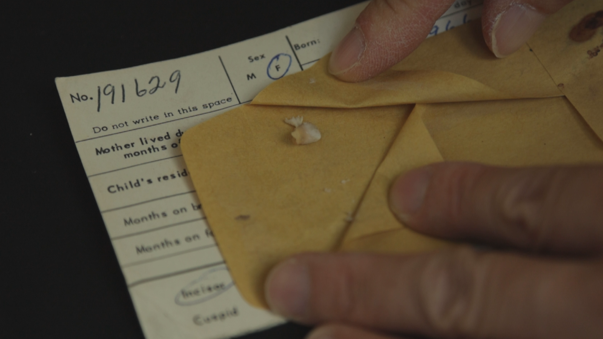 Harvard Scientists Persist Despite Administration Pressure