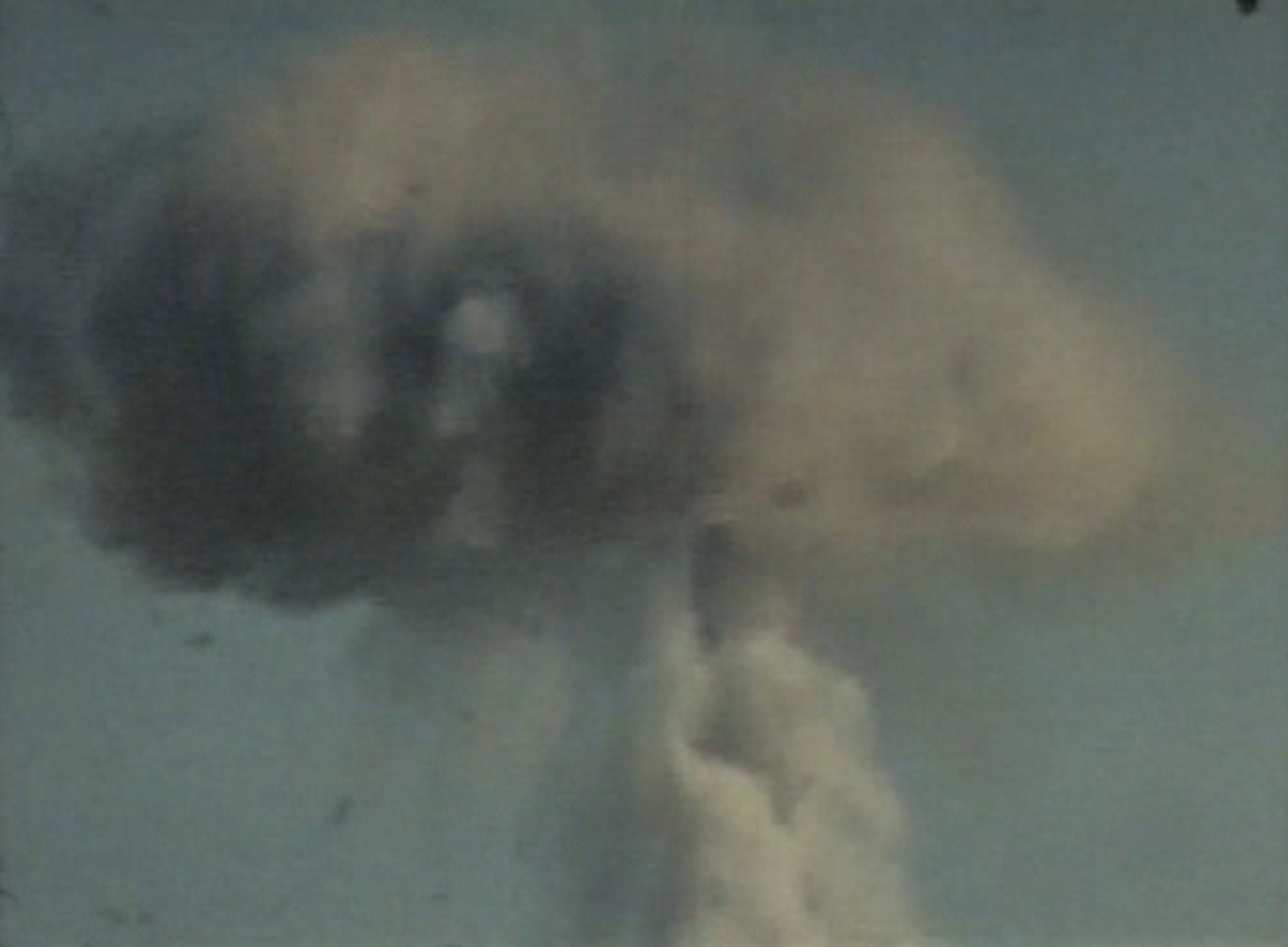 A small dog with tan fur and dark facial markings is peeking out from behind a white cloth or blanket, with part of that cloth hanging down in front of it.