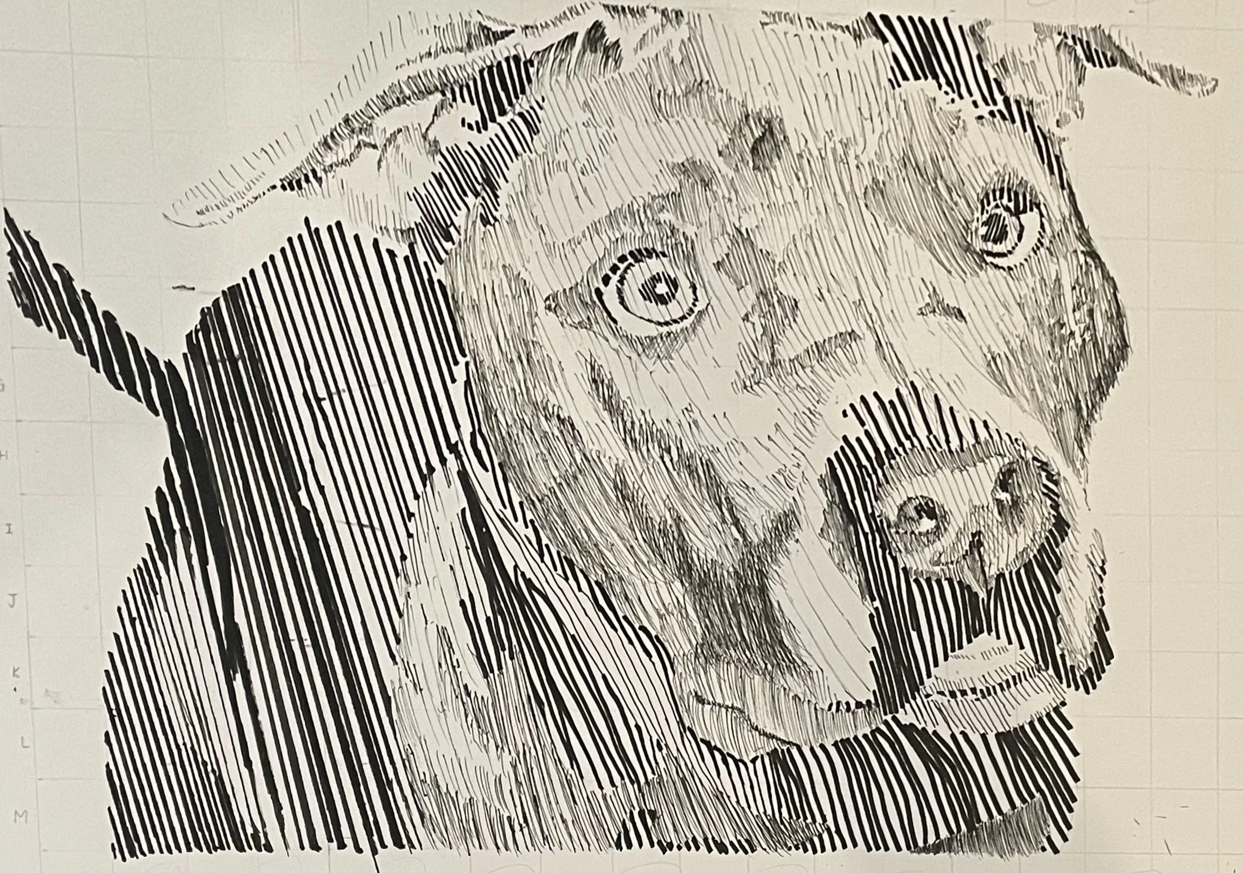 Luxx is inked in cross hatching shadow.